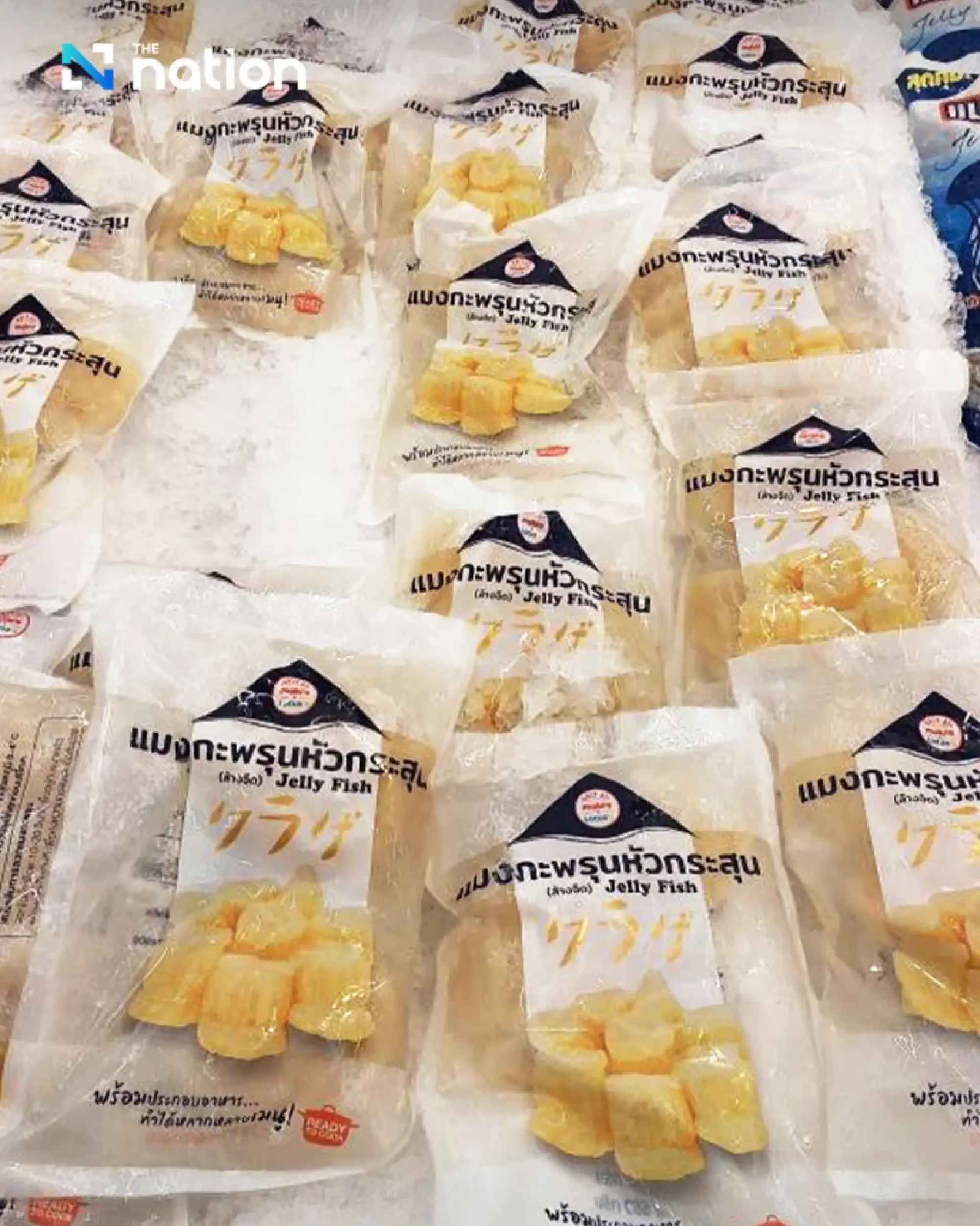 Public Health Officials Warn of Allergic Reactions to Jellyfish Delicacy