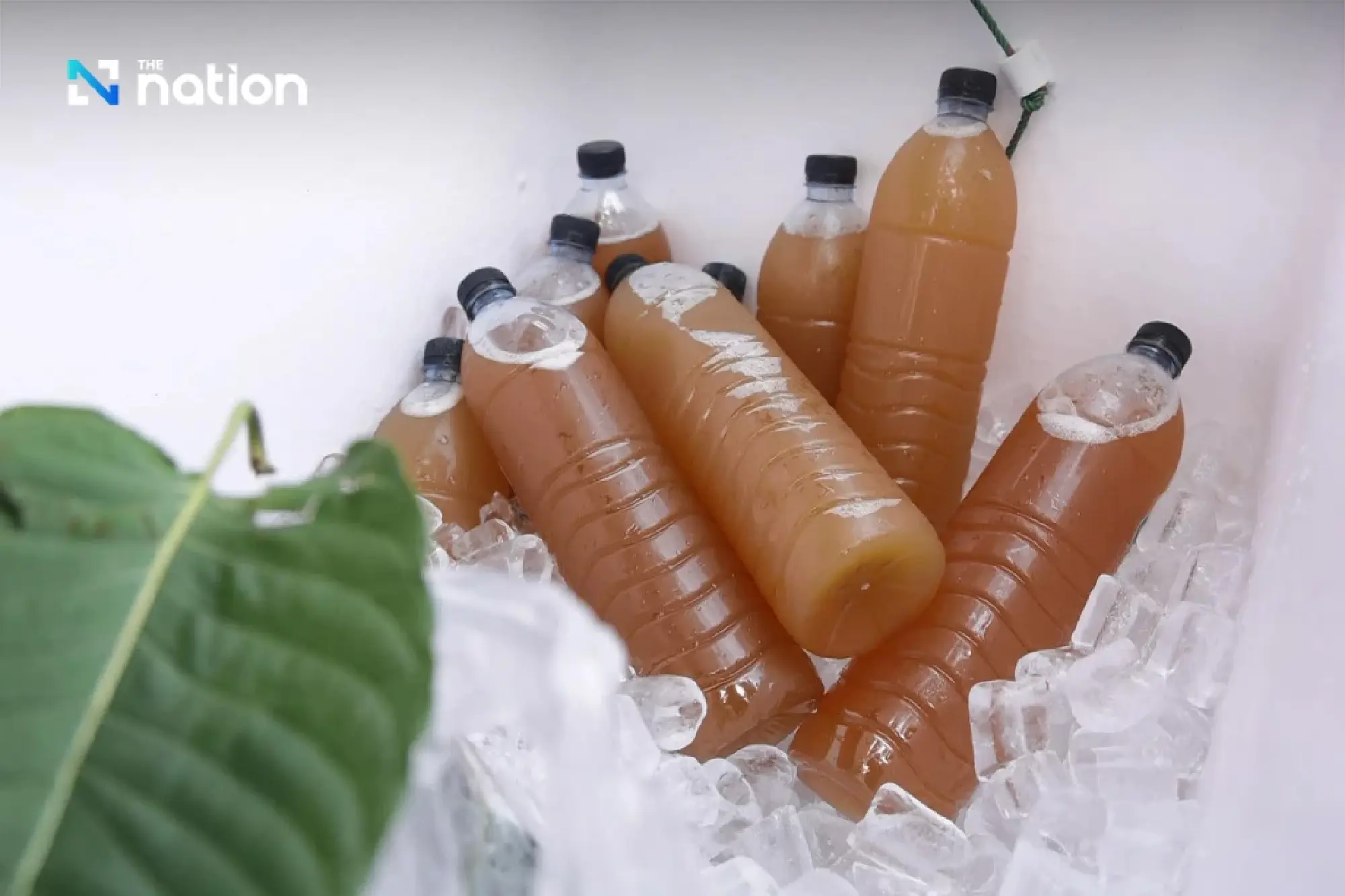 Ministries Unveil Plan to Restrict Roadside Kratom Sales