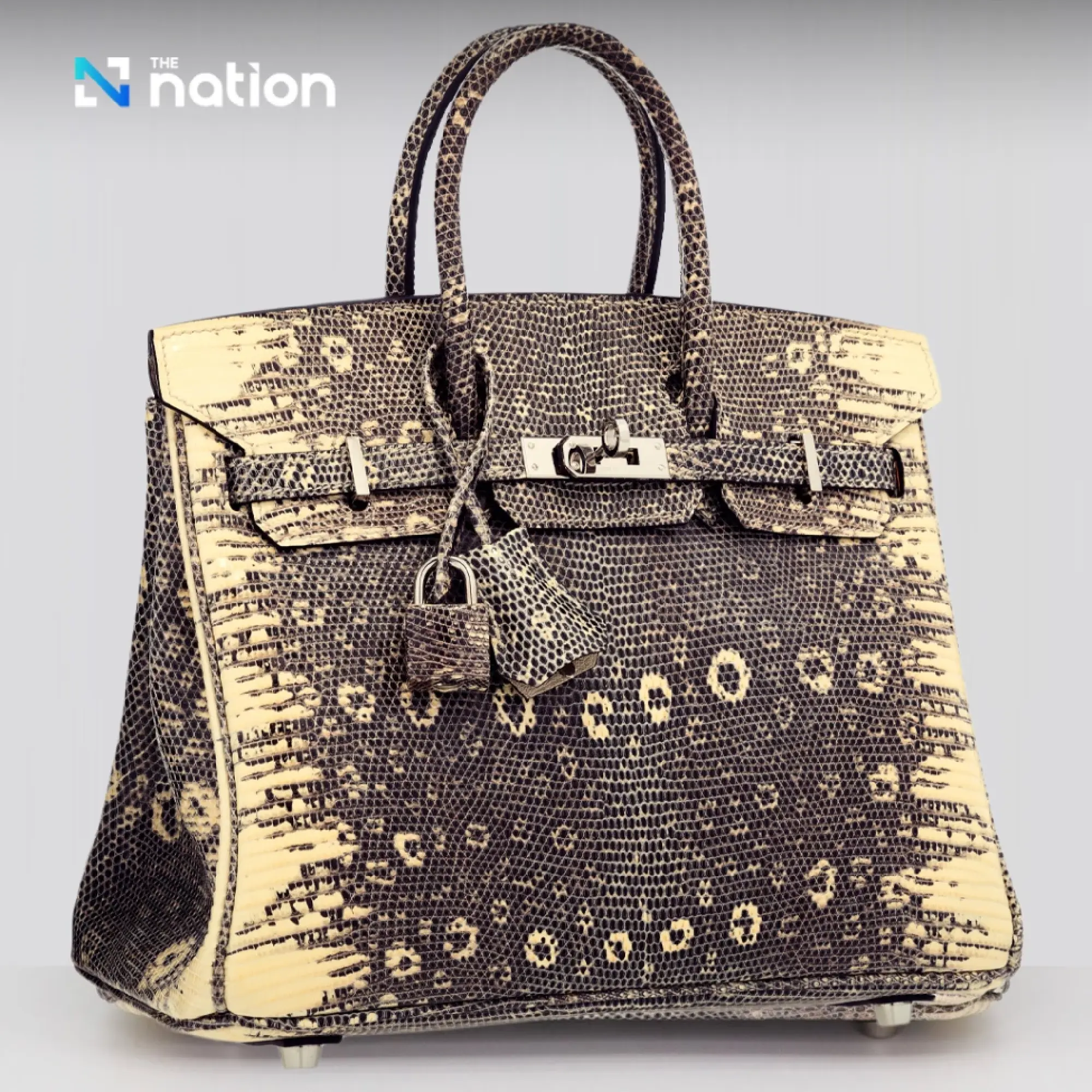 Thailand\'s Monitor Lizards Tipped as Next Big \'Economic Animal\' in Luxury Leather