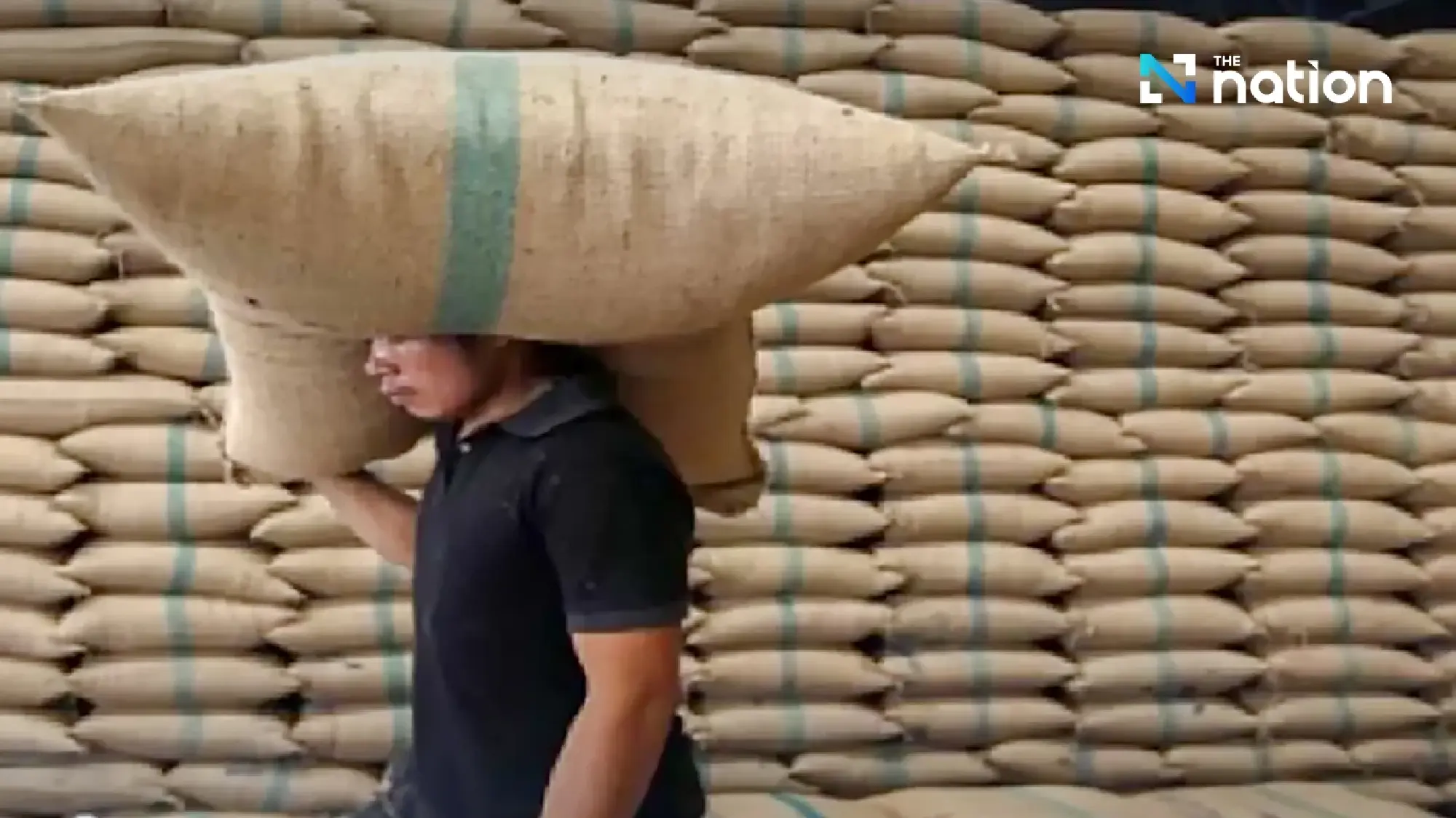 Thai Rice Exporters Shrug Off New US Tariff, Eye Broader Market Challenges