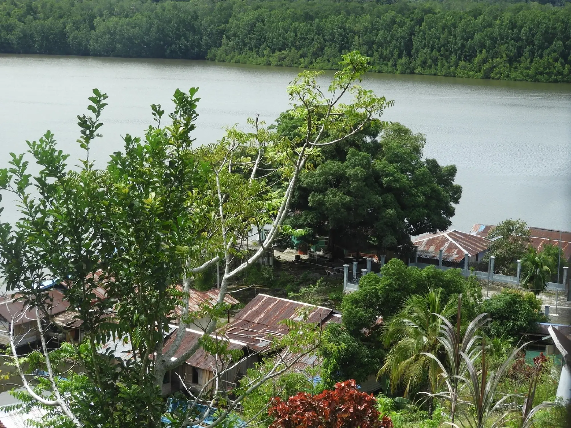 Building a sustainable marine ecosystem as the foundation of Papua's local economy