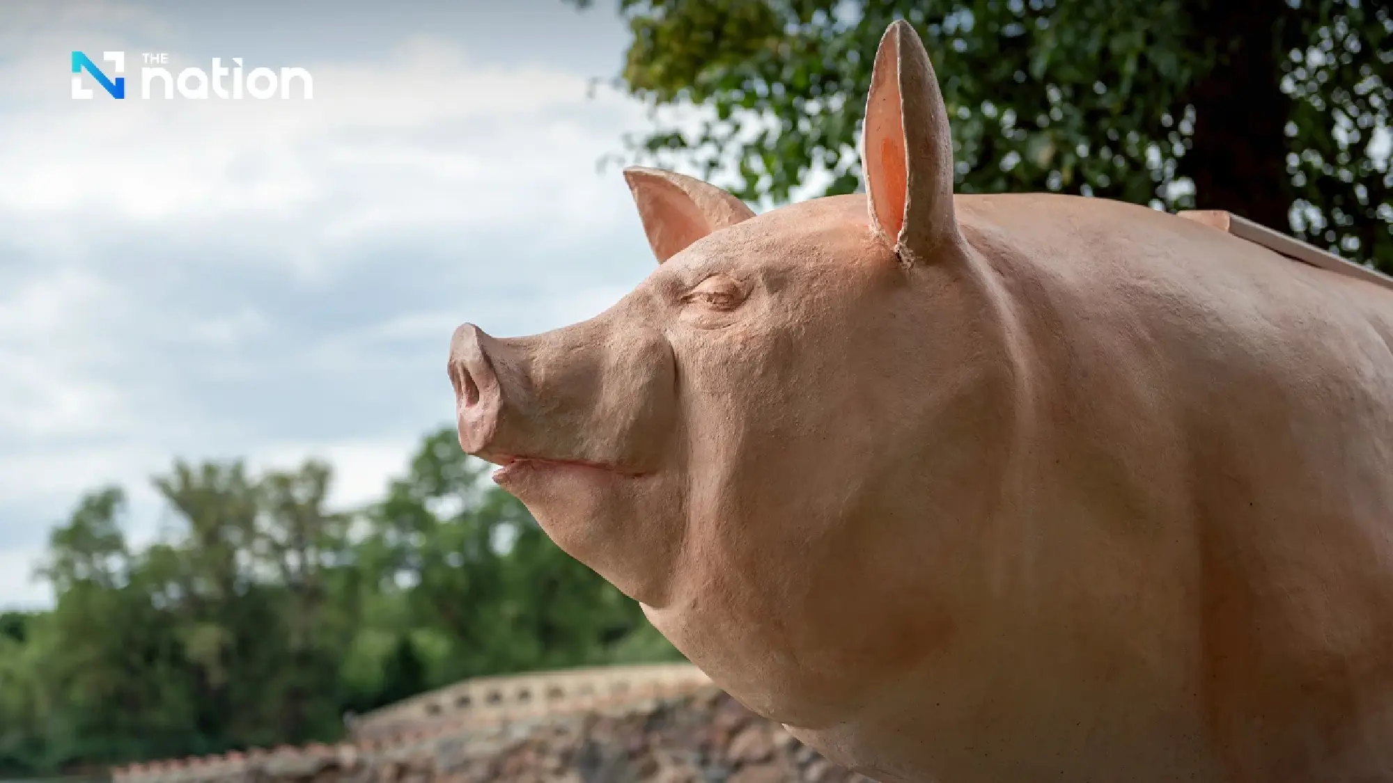 Animal sounds Thai vs. English