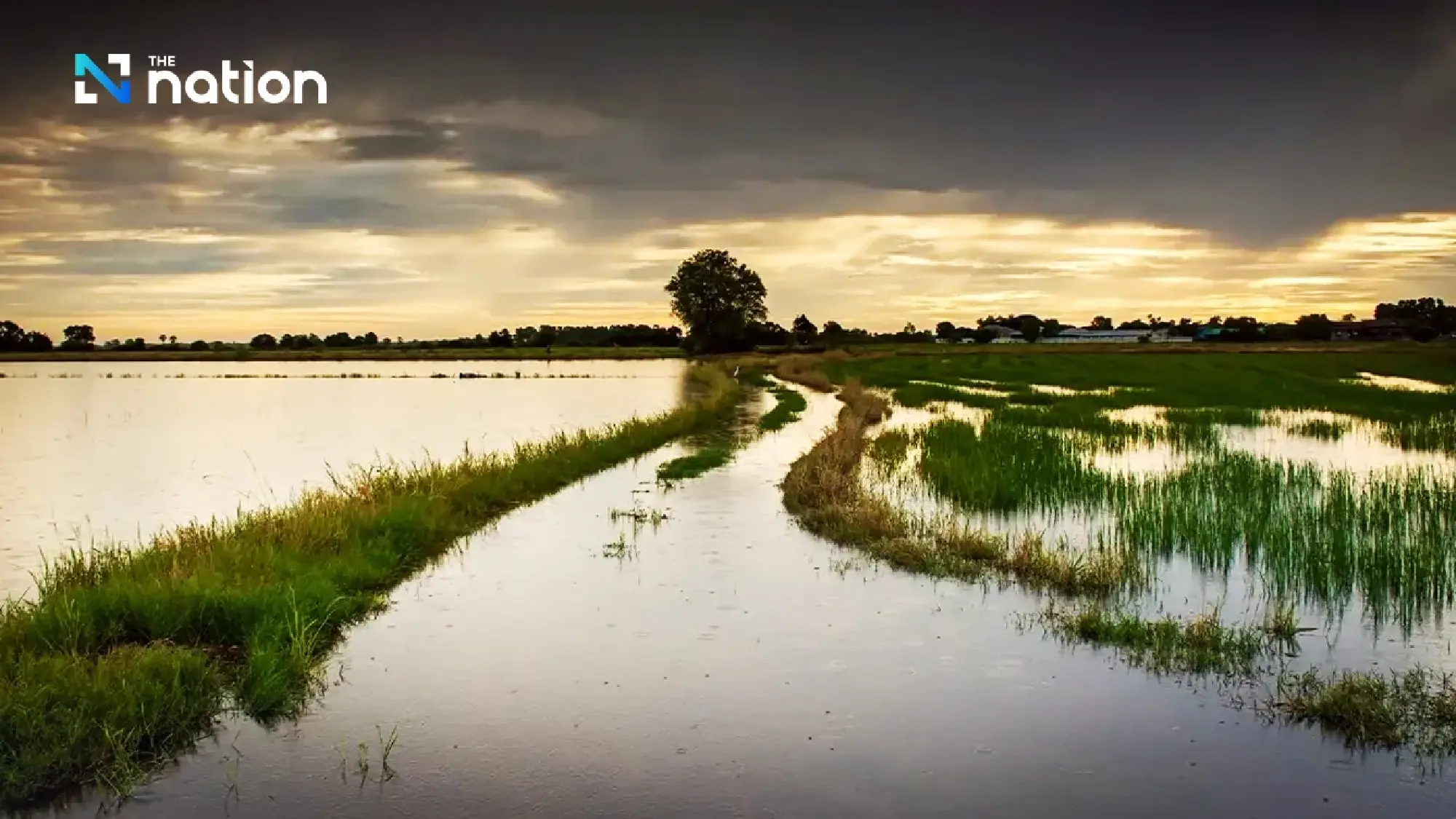 NWRO prepares Sirikit Dam discharge and Chao Phraya floodplain storage as heavy rain hits mid-August