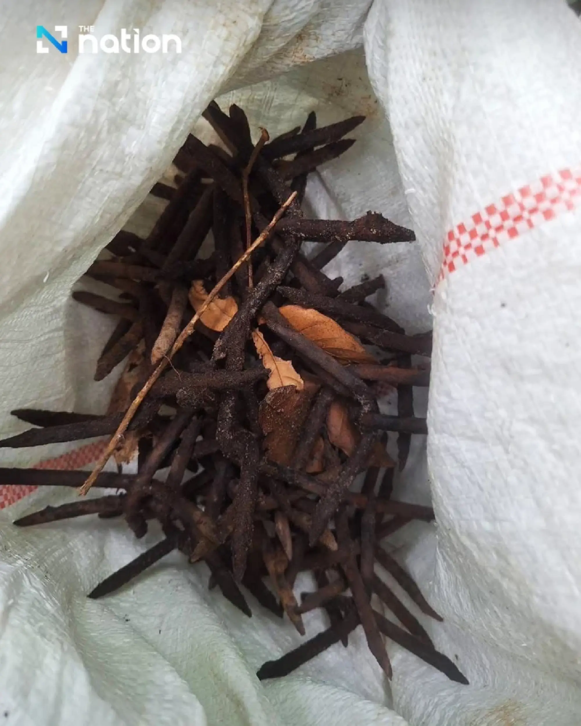 Thai Army sends evidence to IOT as Cambodian troops lay more landmines