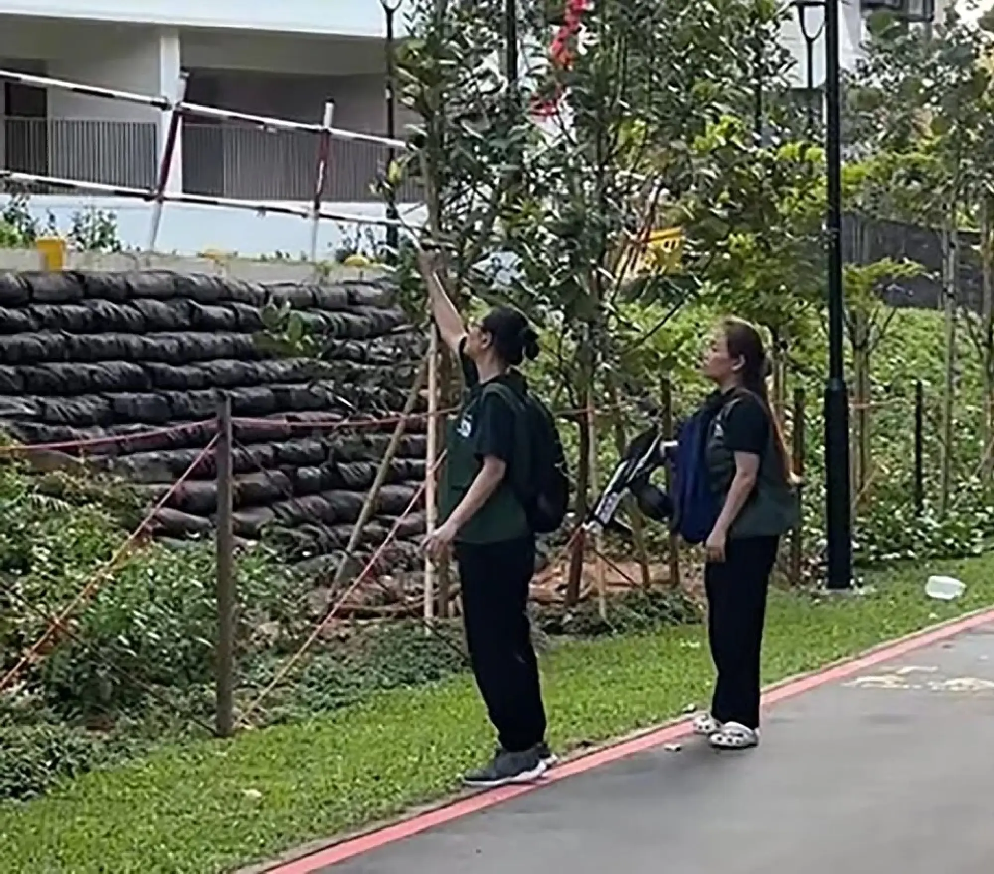 Water gel guns among newer tools NParks uses to manage monkeys in Singapore estates