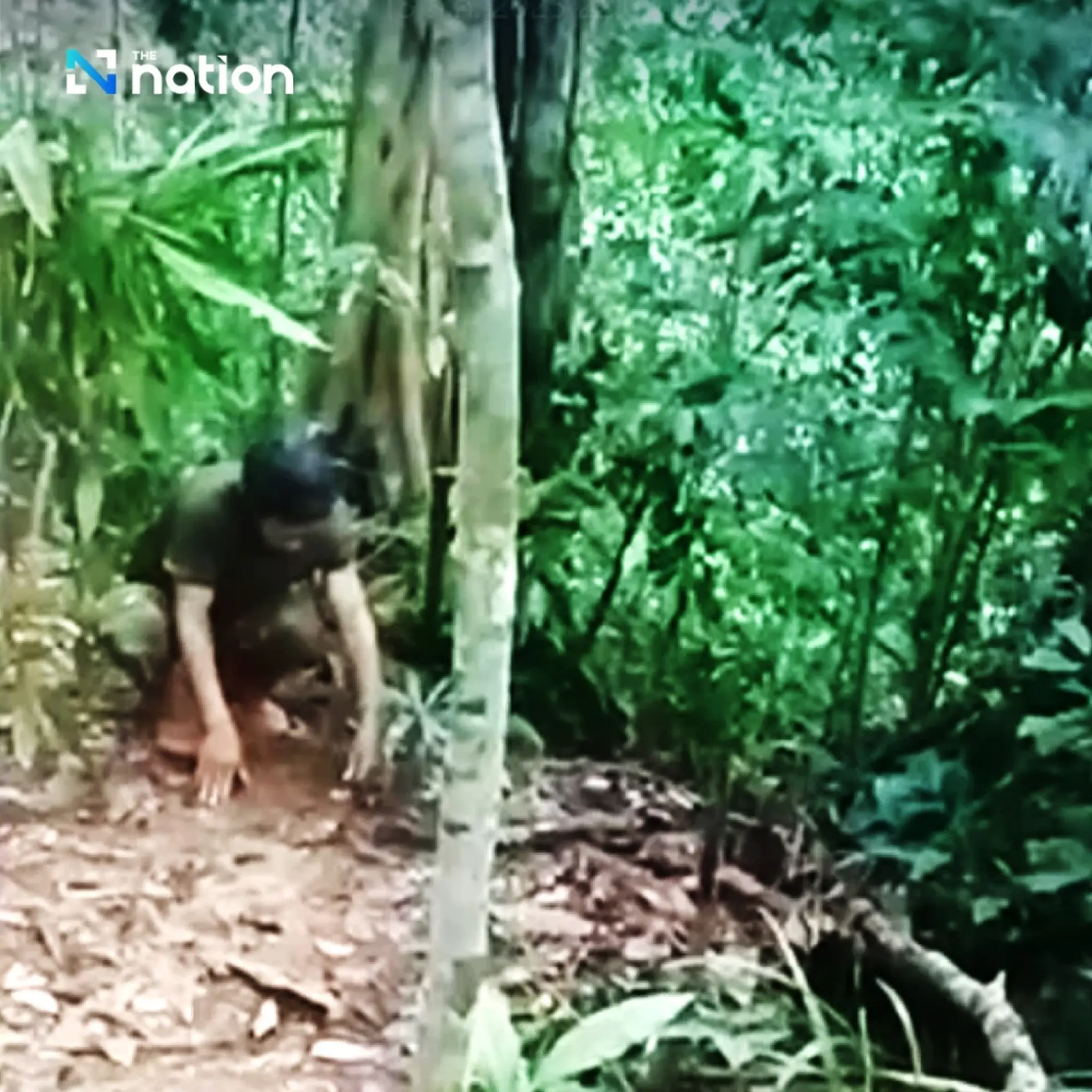 Thai Army accuses Cambodia of laying landmines in Thai territory, demands accountability