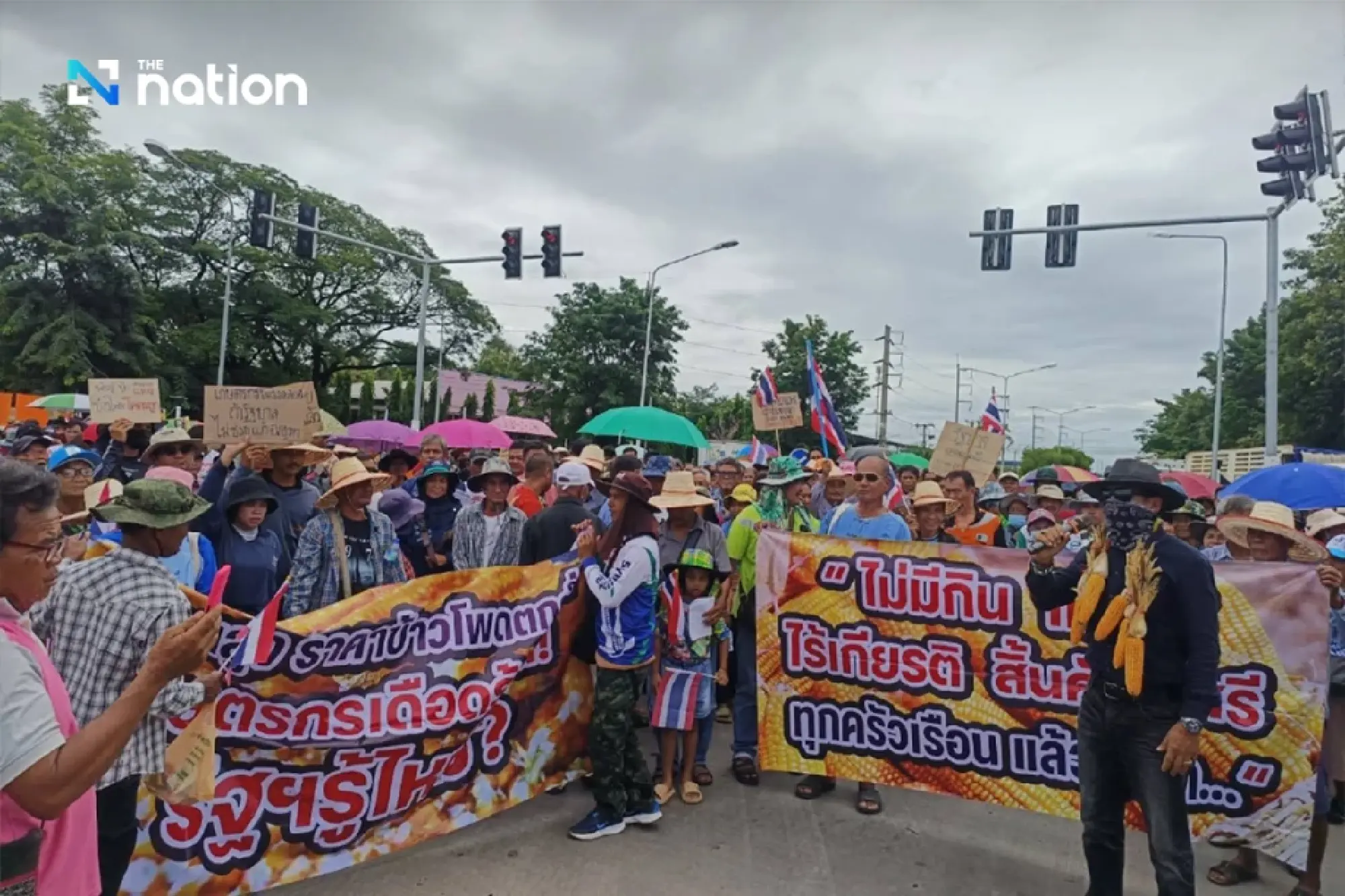 Phetchabun corn farmers rally to demand compensation over US corn imports