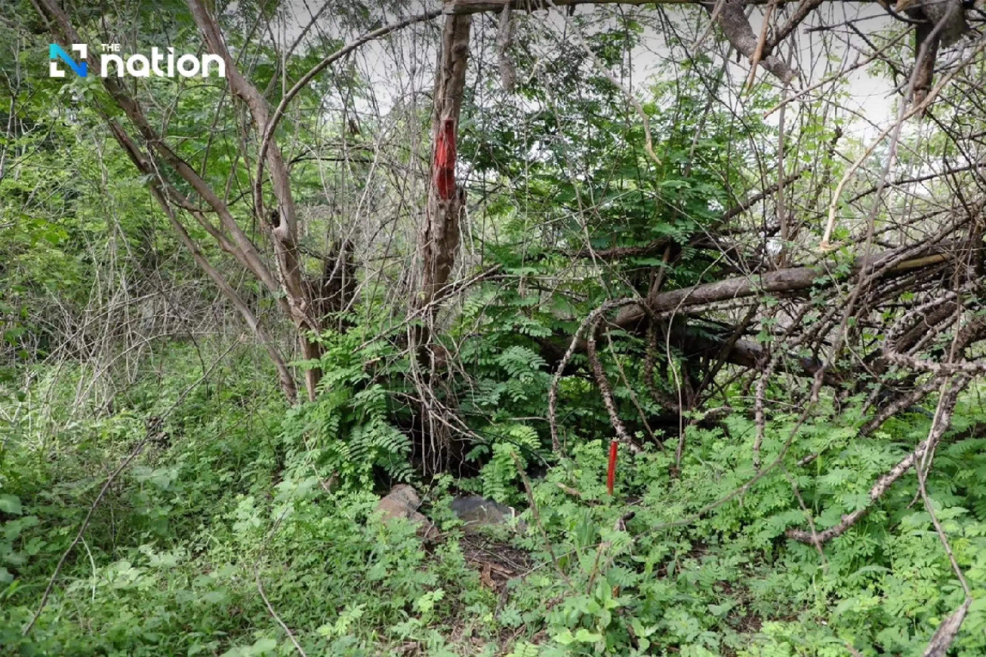 State Railway Stands Firm on Khao Kradong Land Protection, Offers Lease Terms to Current Occupants