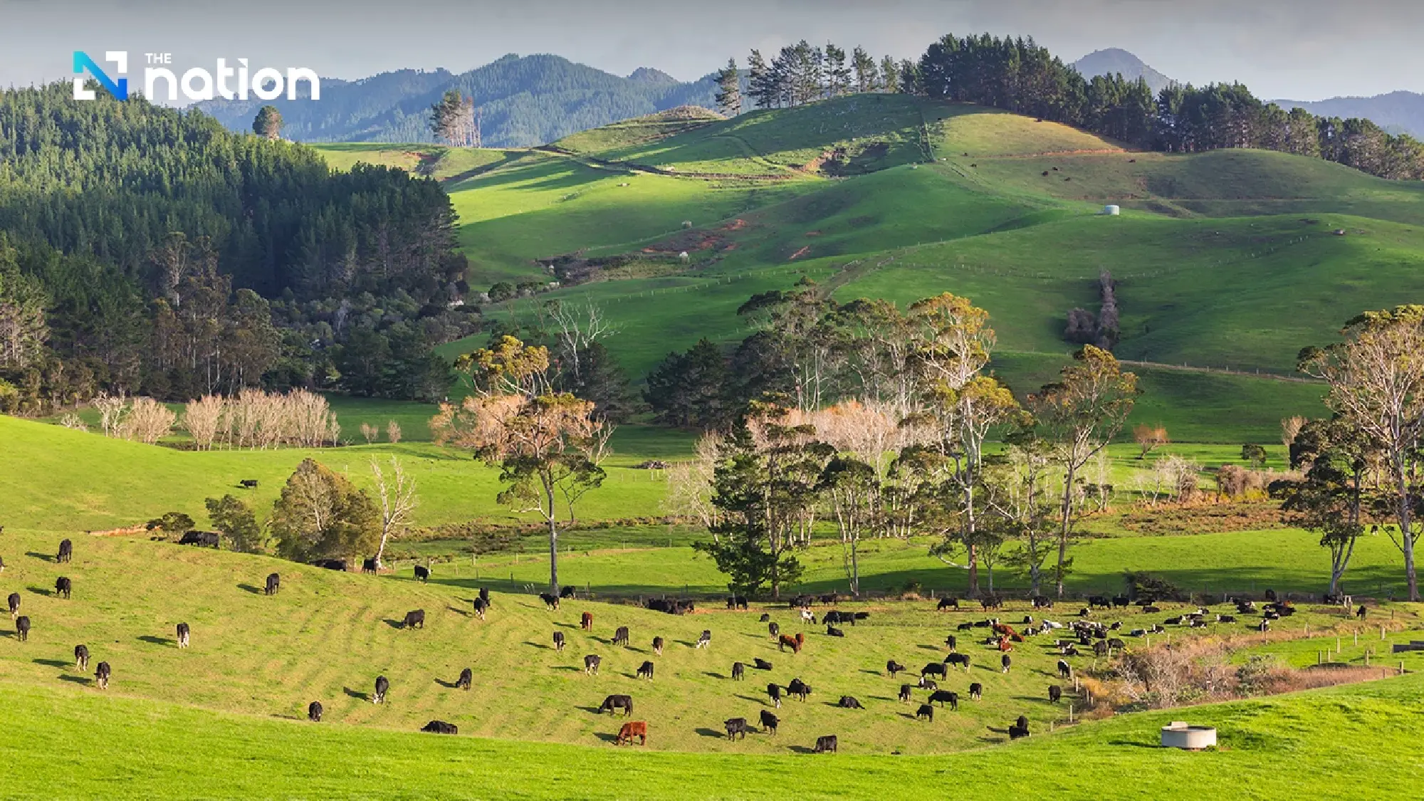 World’s cleanest countries 2025: fresh air, pure water, and waste management