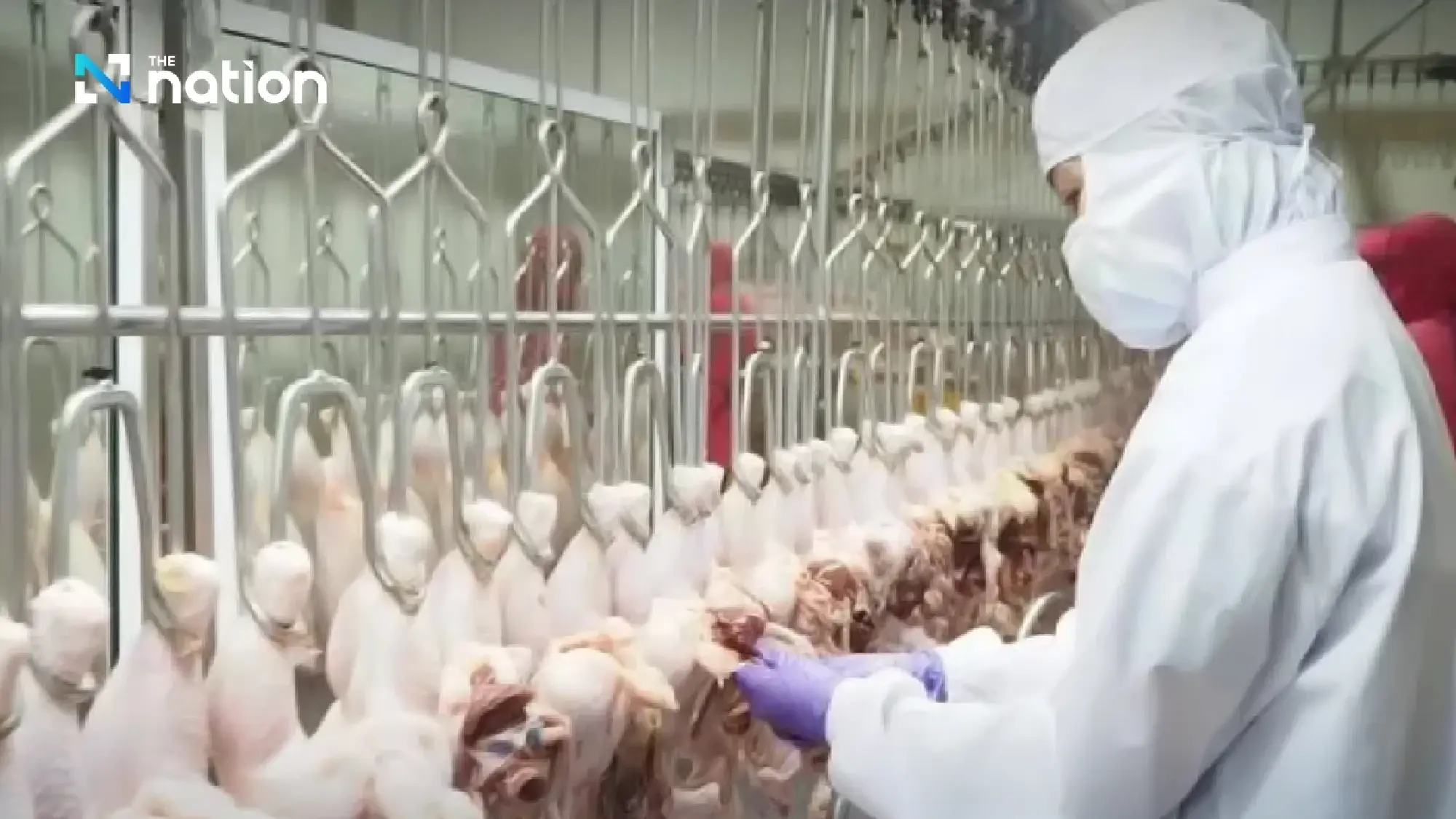 Saudi extends Thai poultry export deadline by 6 months