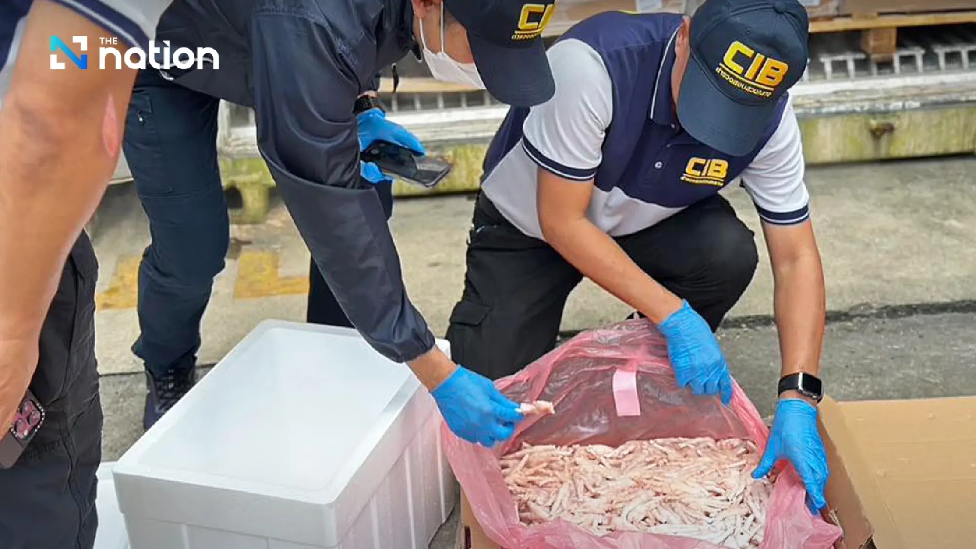 230 tonnes of smuggled frozen chicken legs seized from Bangkok port