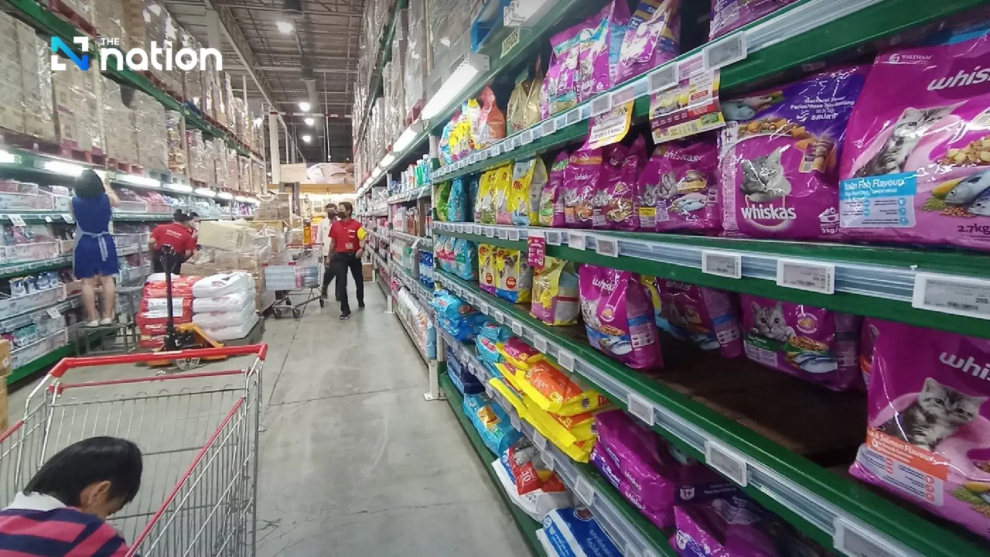 Thailand rises to world’s No. 2 pet food exporter in 2024, worth 85 billion baht
