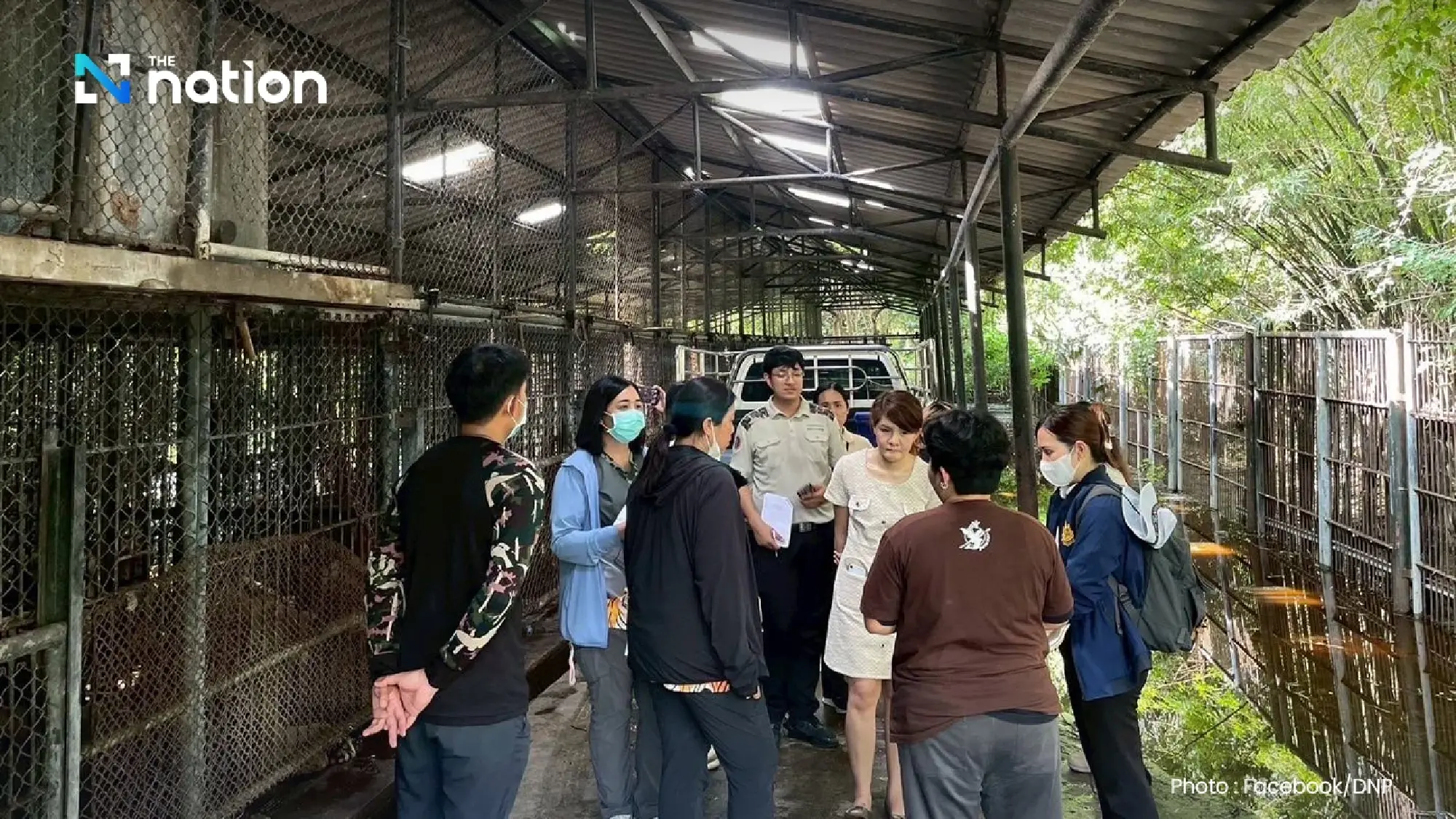 National Parks Department orders urgent safety improvements at Safari World after lion attack