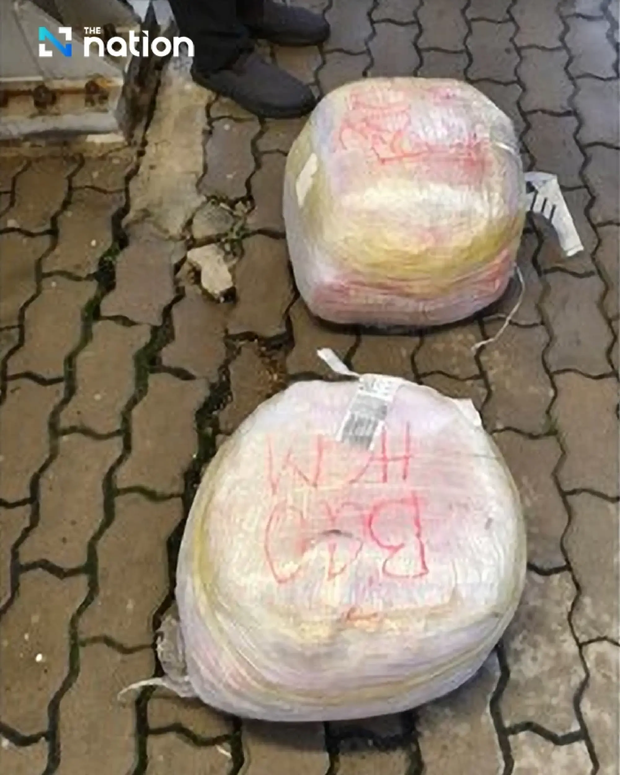 Thai Customs Seize Rhino Horns at Bangkok Airport