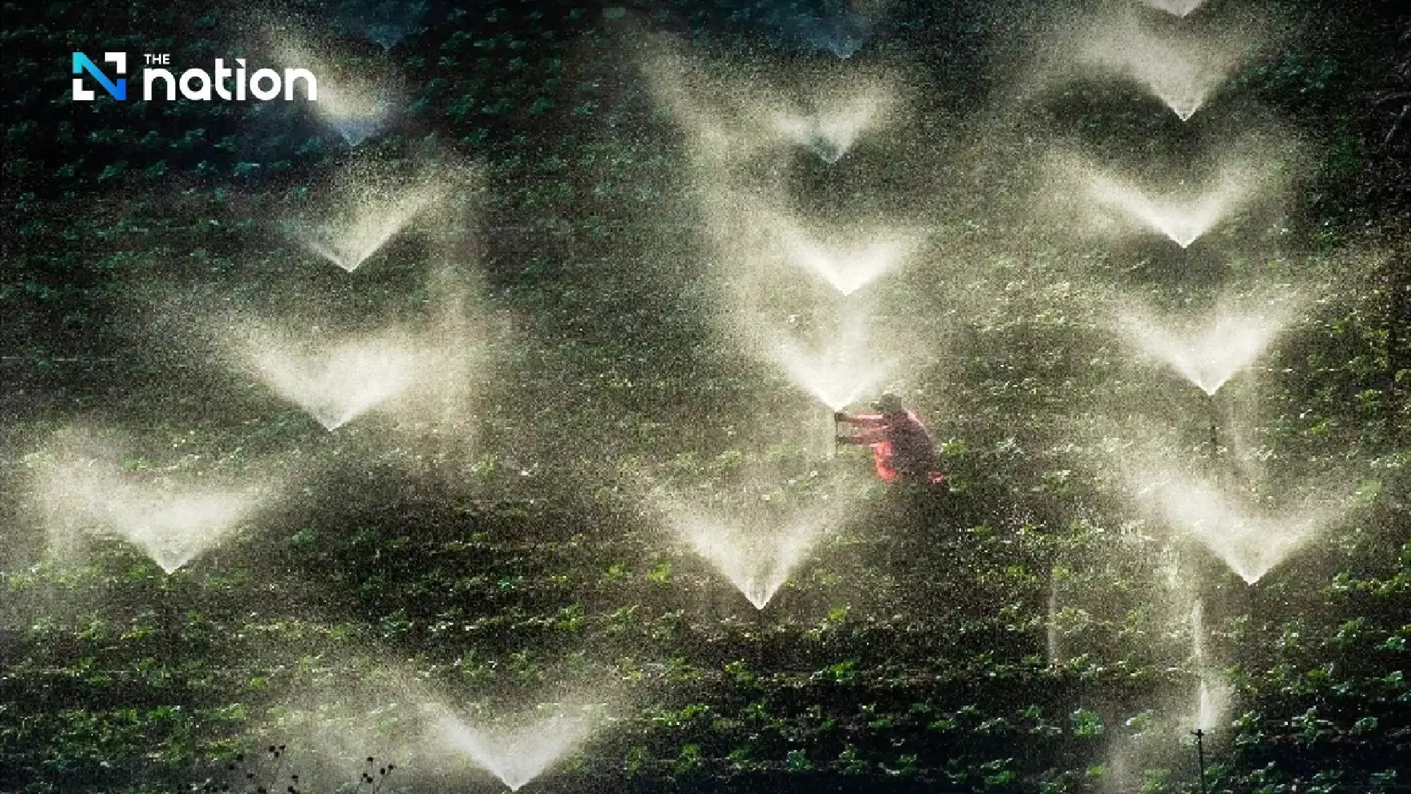 7 art and sustainability highlights at Sustainability Expo 2025