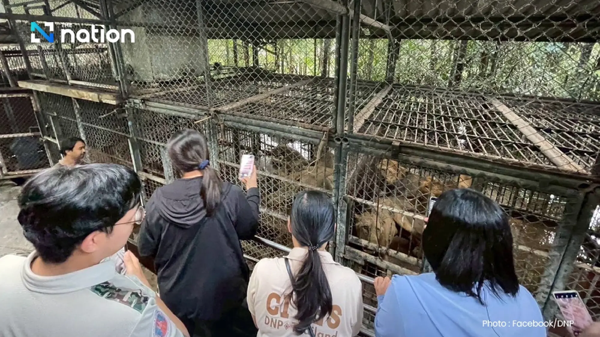 National Parks Department orders urgent safety improvements at Safari World after lion attack