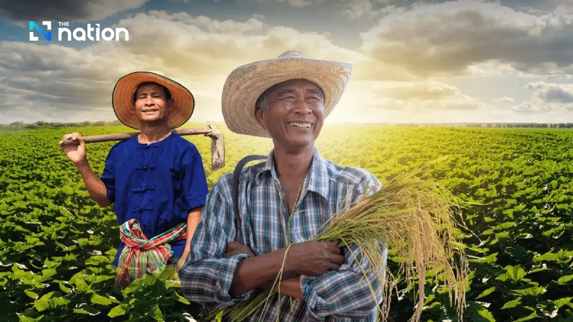 Farmer well-being index hits 81.39, South continues to lead