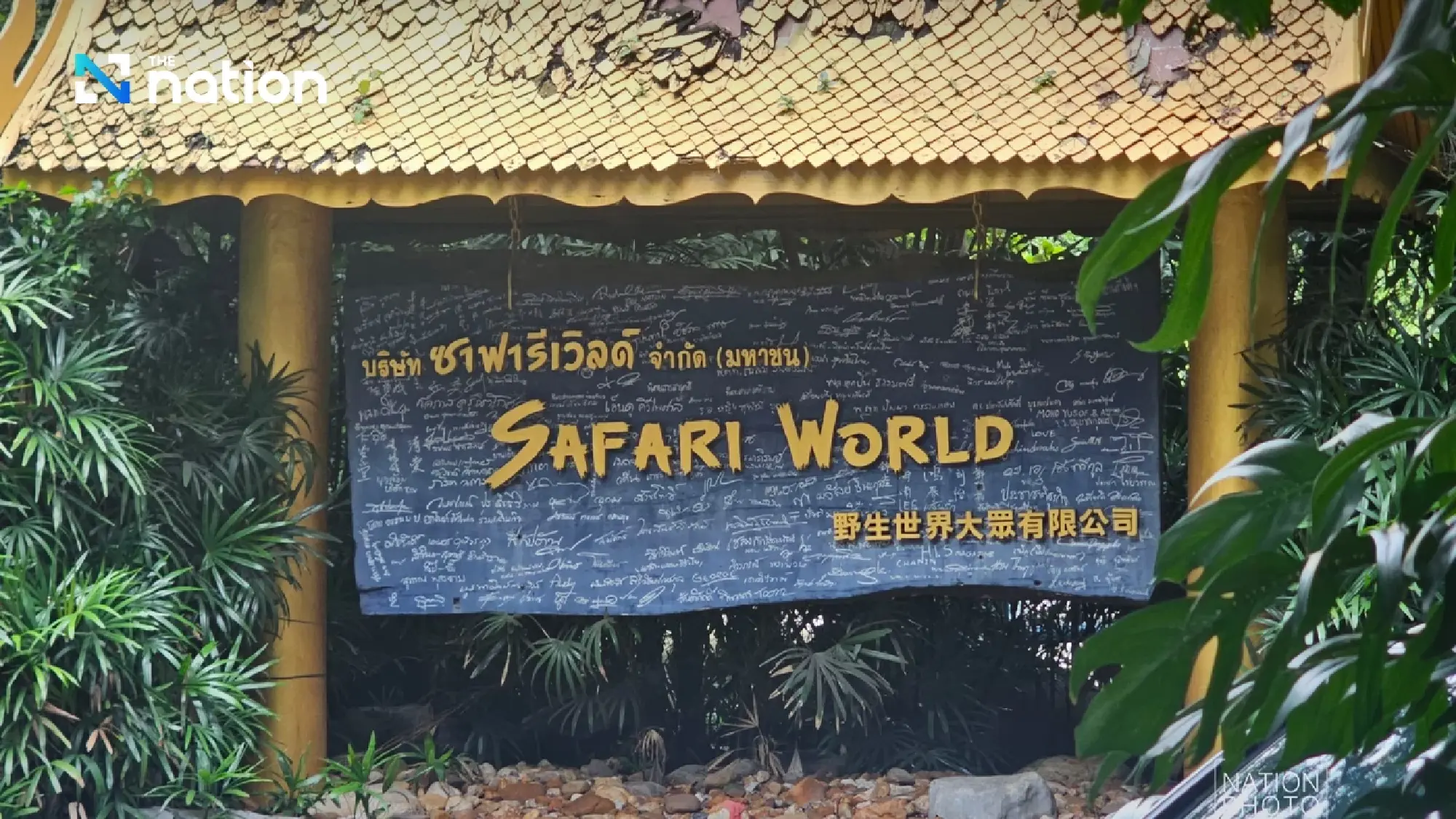 Safari zone in Bangkok temporarily closed after lion attack kills staff member