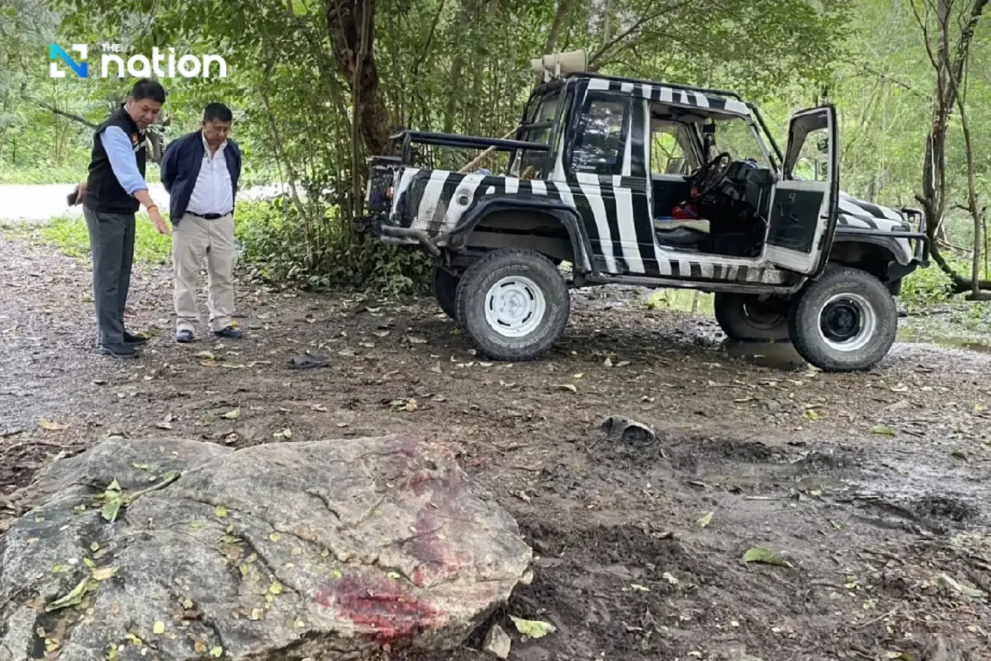 DNP to confine 5 lions that killed zookeeper at Safari World for behavioural adjustment