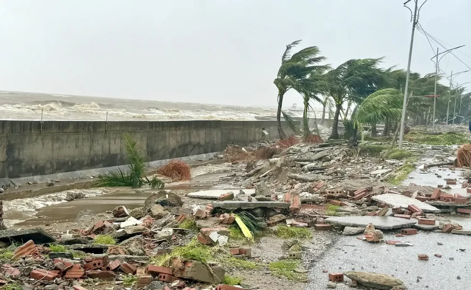 Typhoon Bualoi wreaks havoc across northern, central regions, casualty hits 13