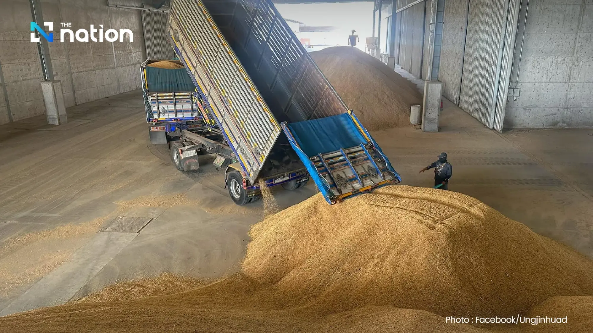 Thailand’s rice exports fall for 10th month, domestic prices drop by 200 baht per tonne