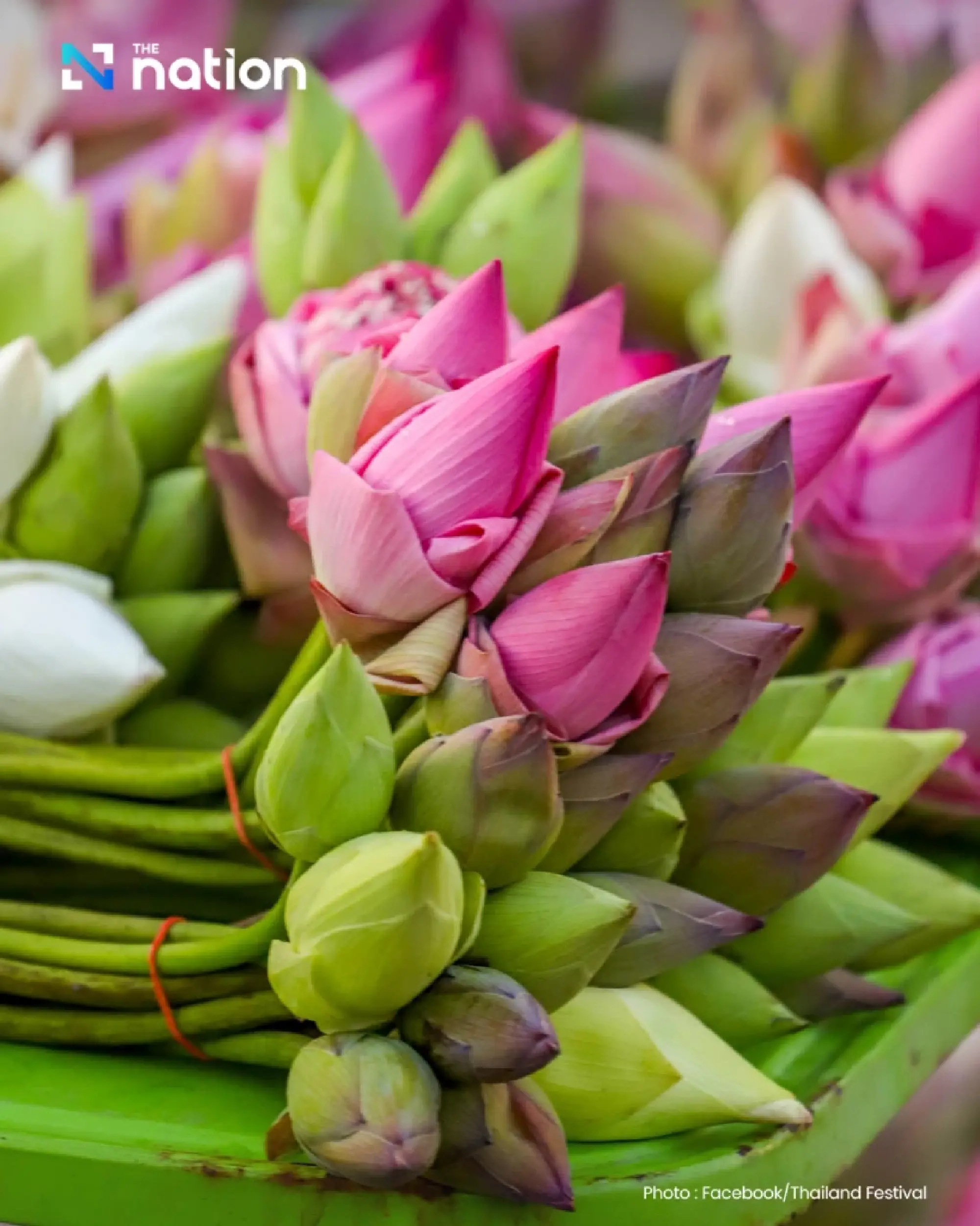 Rap Bua festival in Samut Prakan – a timeless charm of water and devotion