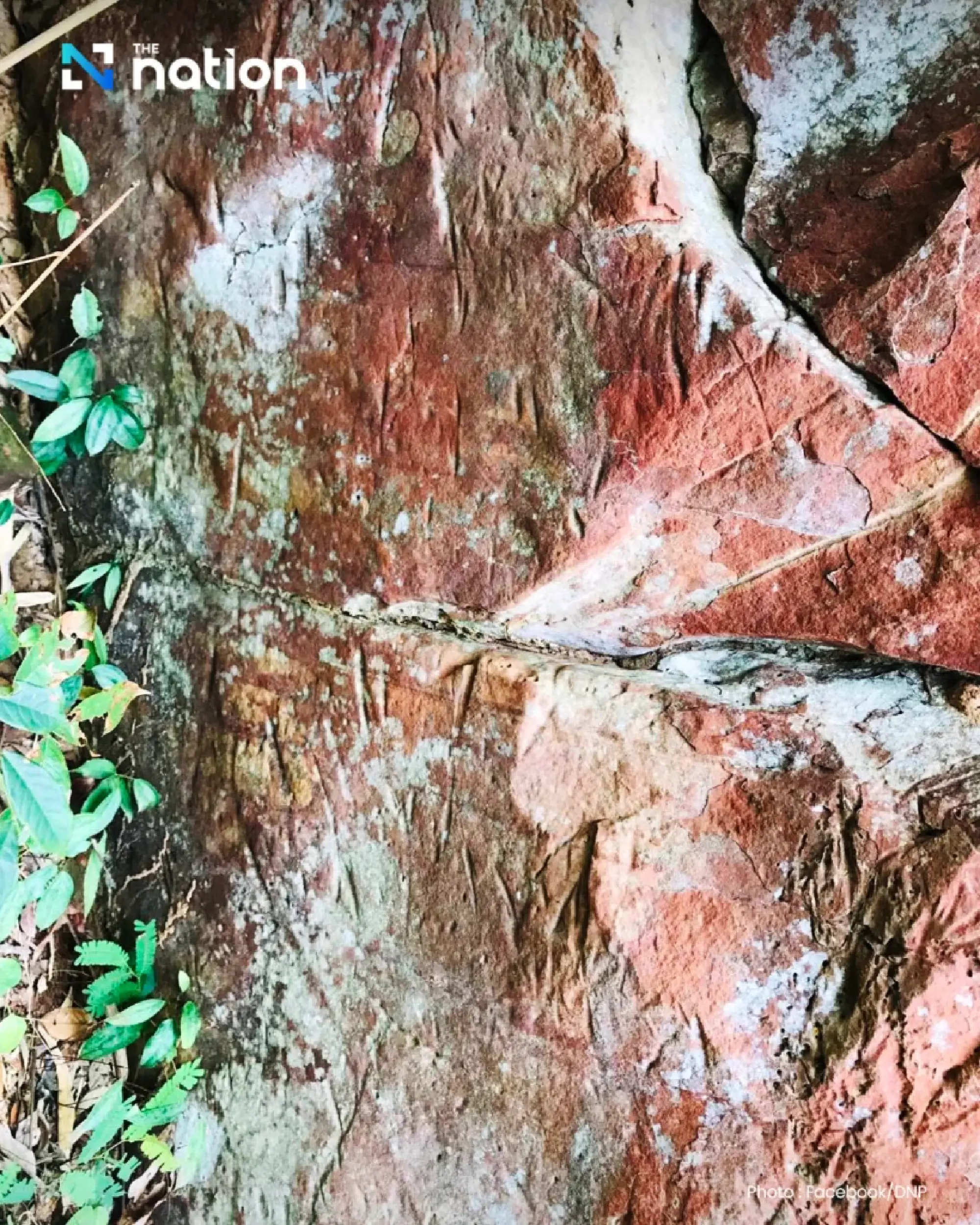 New archaeological sites discovered in Phitsanulok