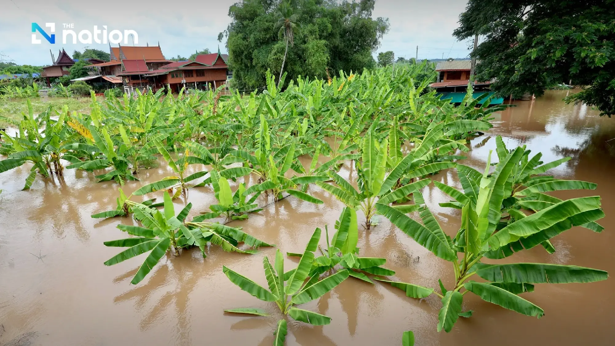 Ayutthaya hit by floods in six districts, 25,000 households affected, one dead
