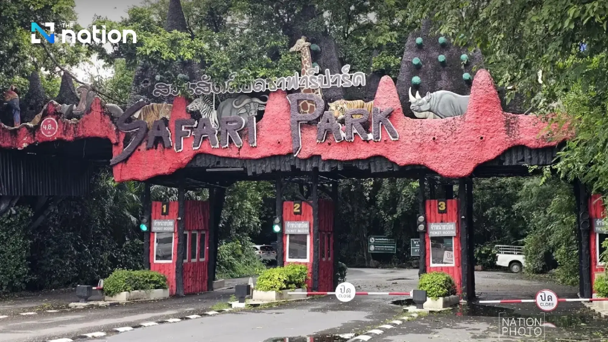 DNP to confine 5 lions that killed zookeeper at Safari World for behavioural adjustment