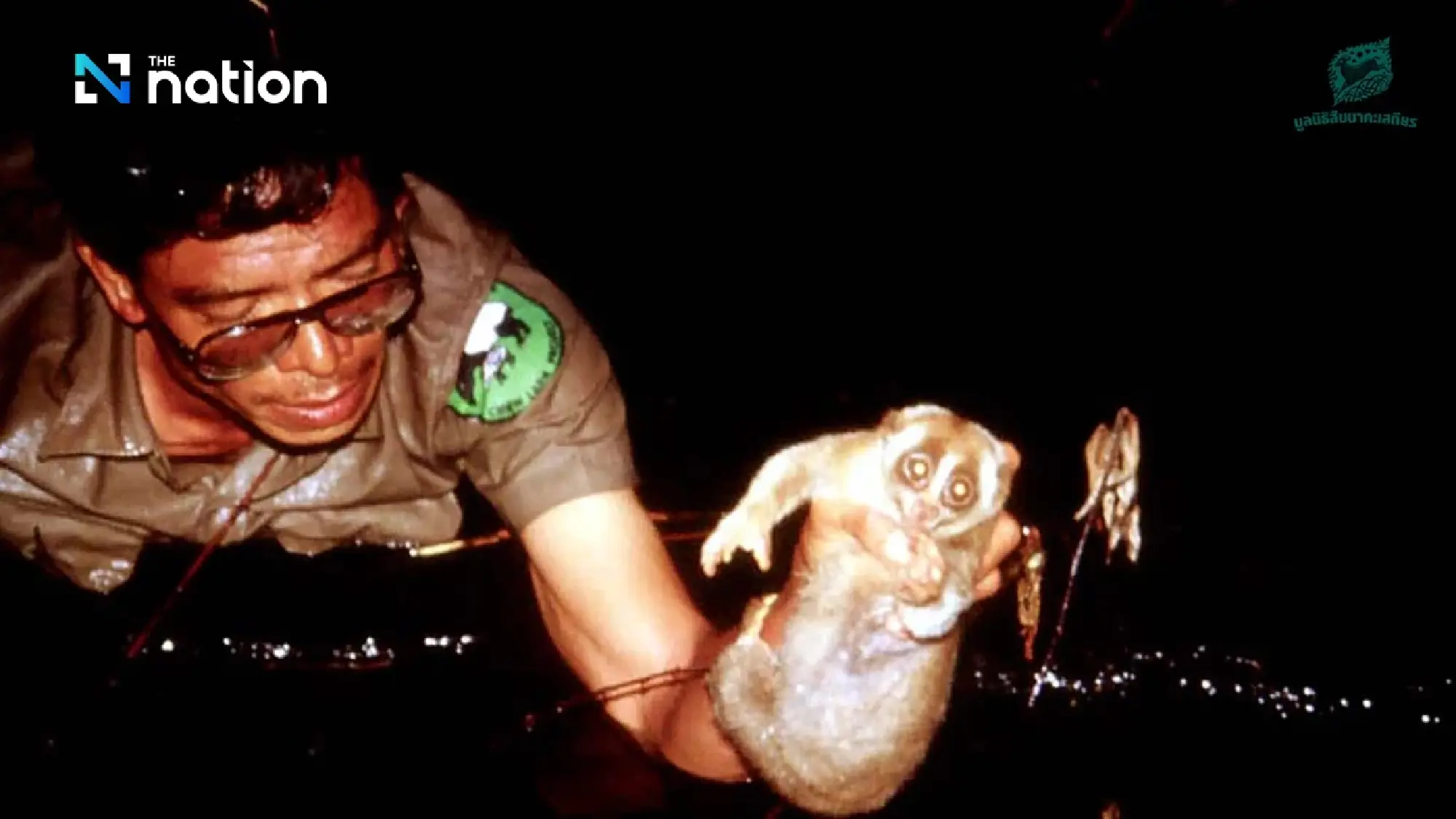 35 years on, the spirit of Seub Nakhasathien lives on in Thailand’s forests