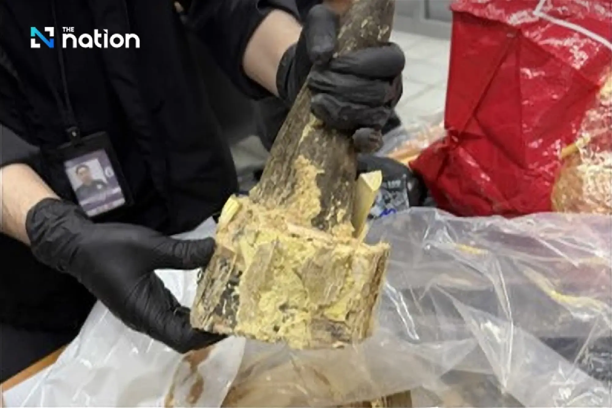 Thai Customs Seize Rhino Horns at Bangkok Airport