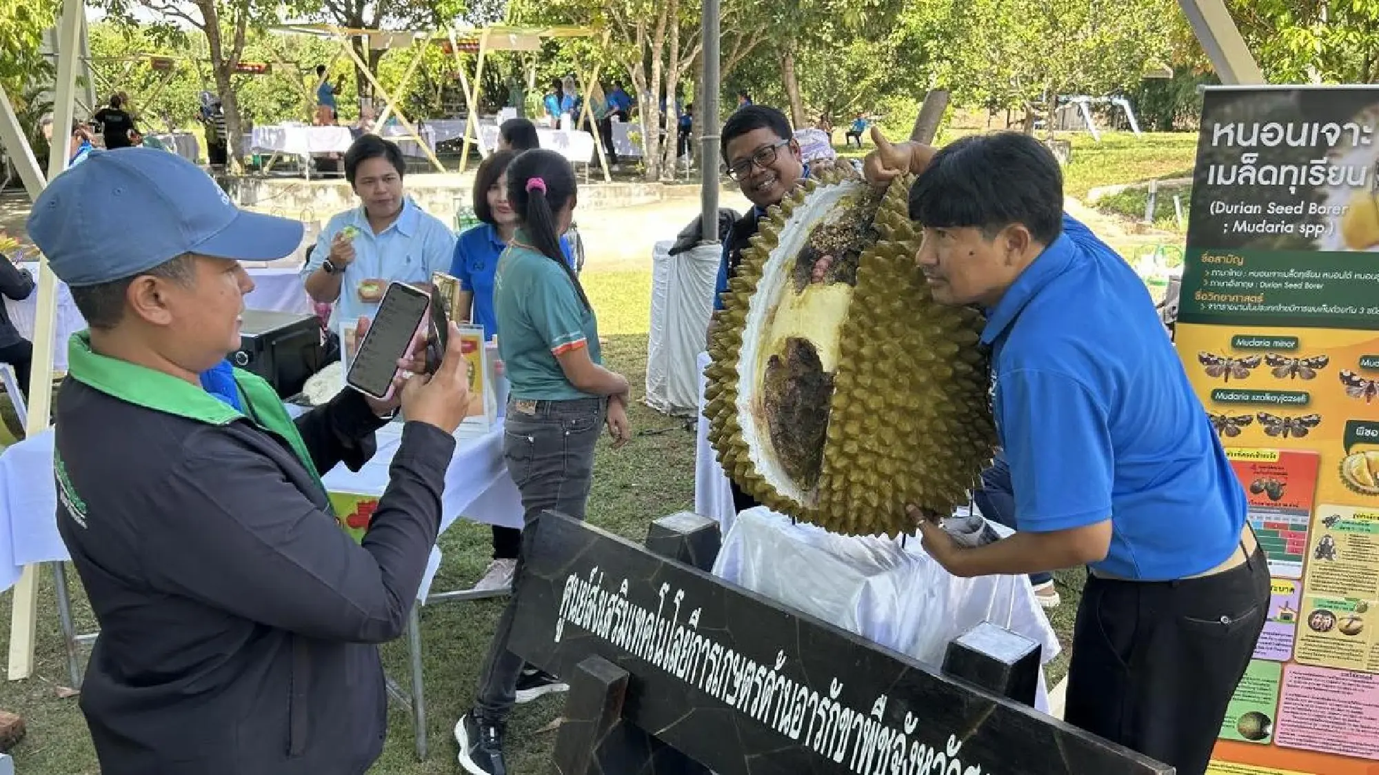 Thai durian farmers eye China market