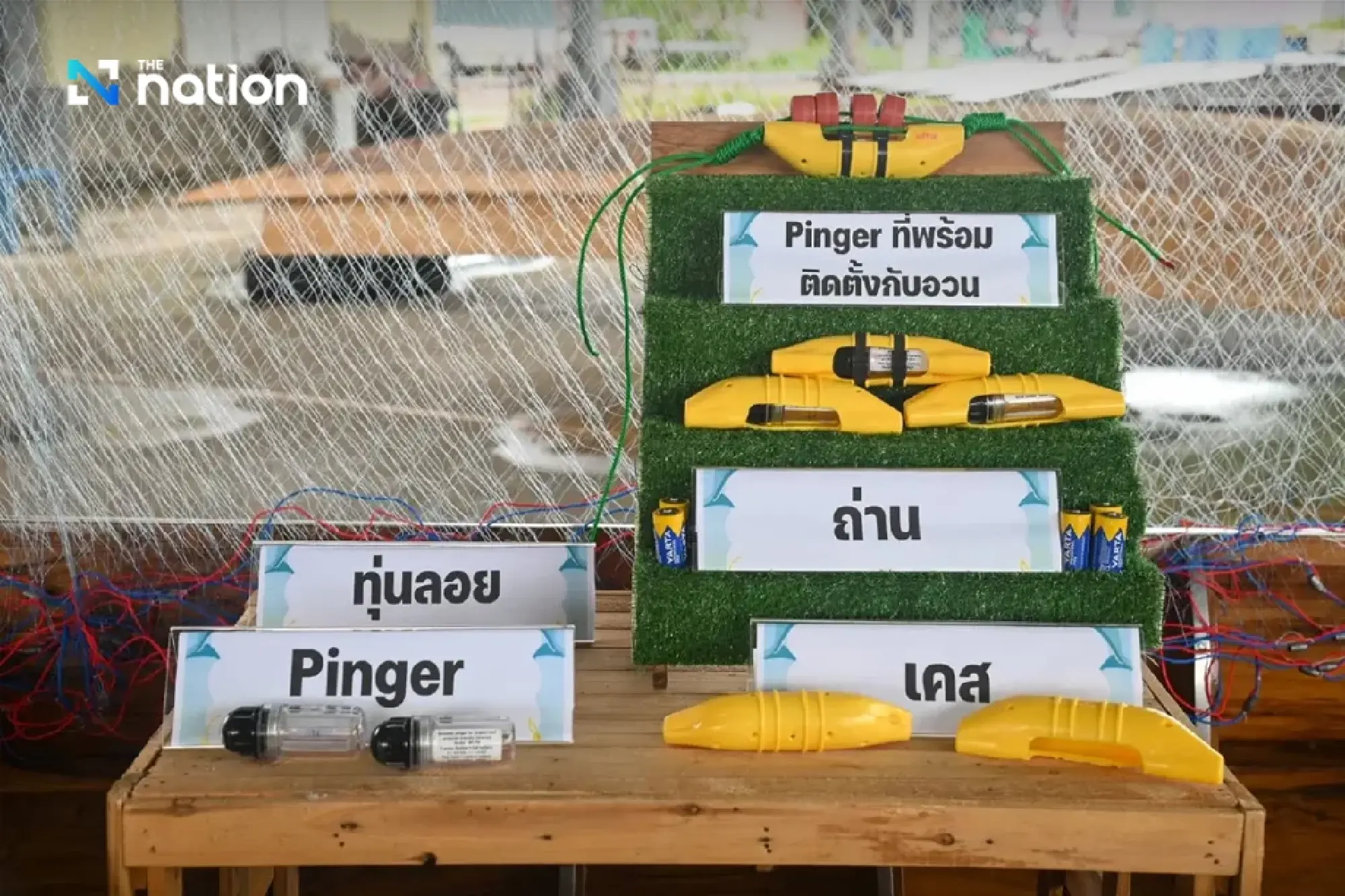 Thailand passes MMPA standards, ensuring safe seafood exports to the US