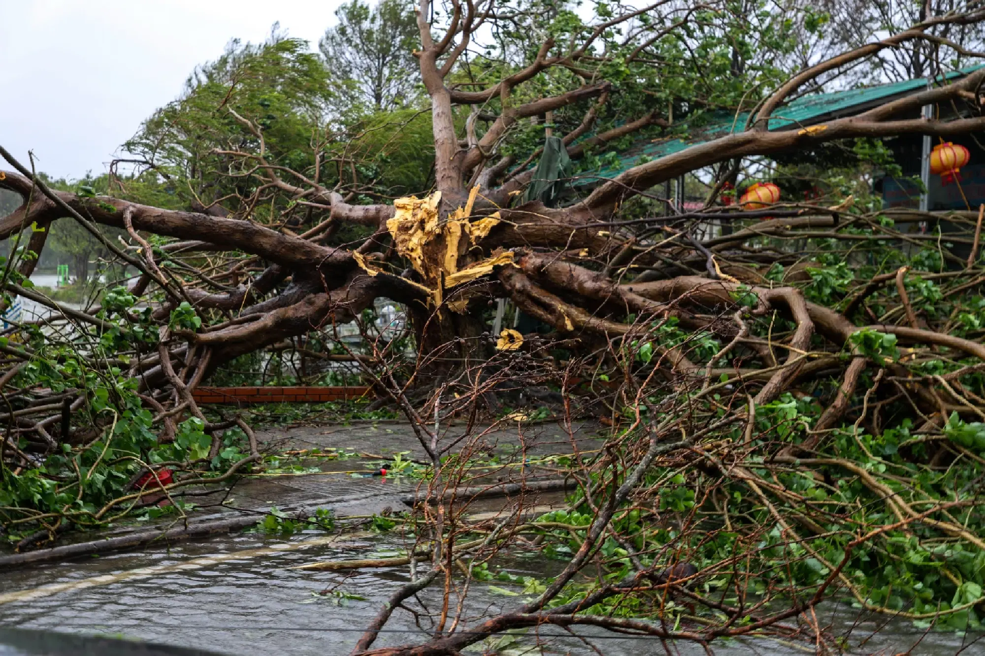 Typhoon Bualoi leaves 9 dead, 17 missing in Vietnam before weakening over Laos