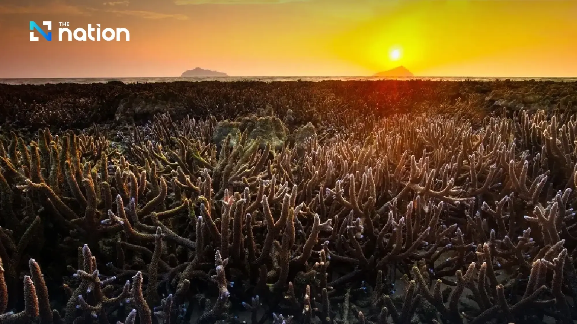 7 art and sustainability highlights at Sustainability Expo 2025