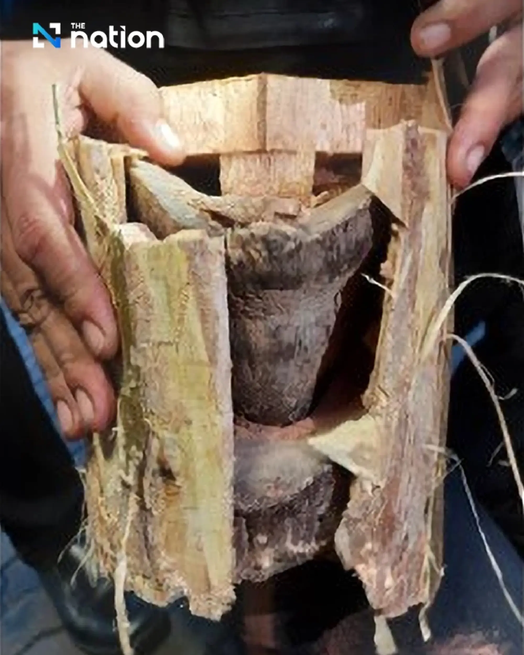 Thai Customs Seize Rhino Horns at Bangkok Airport