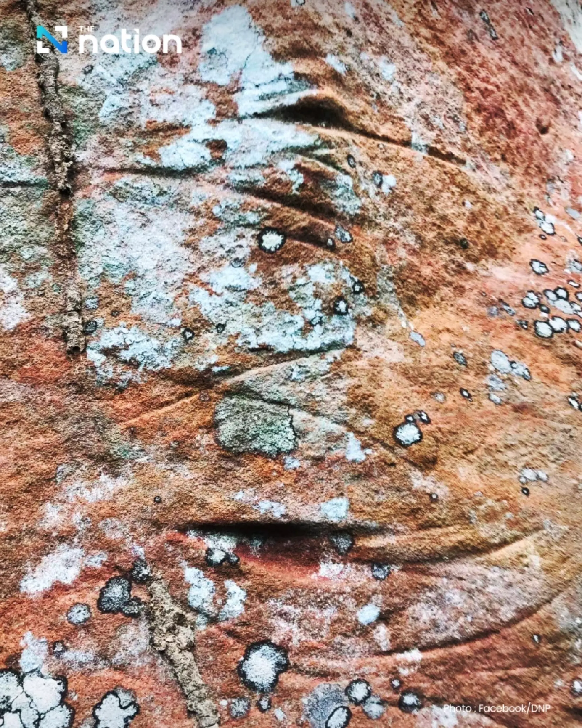 New archaeological sites discovered in Phitsanulok