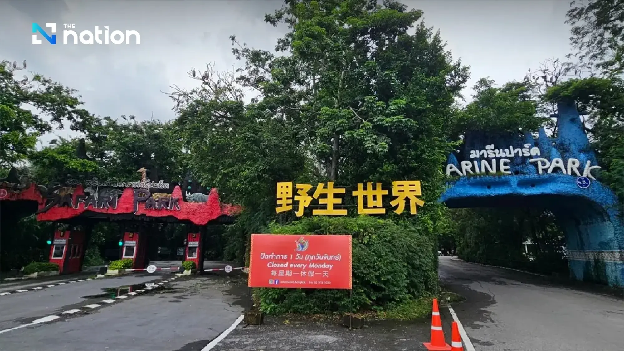 DNP to confine 5 lions that killed zookeeper at Safari World for behavioural adjustment