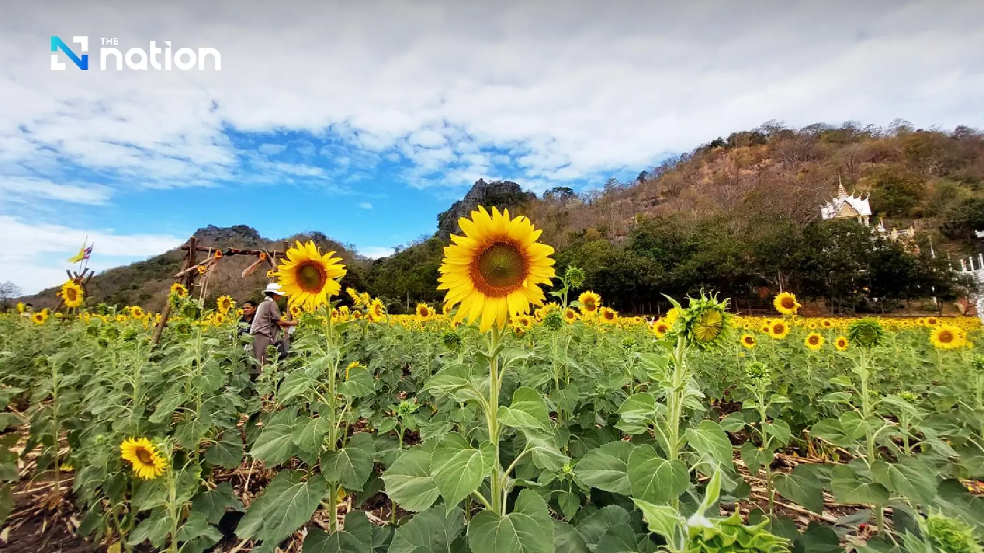 SRT invites travellers to enjoy scenic ‘floating train’ ride at Pa Sak Jolasid Dam