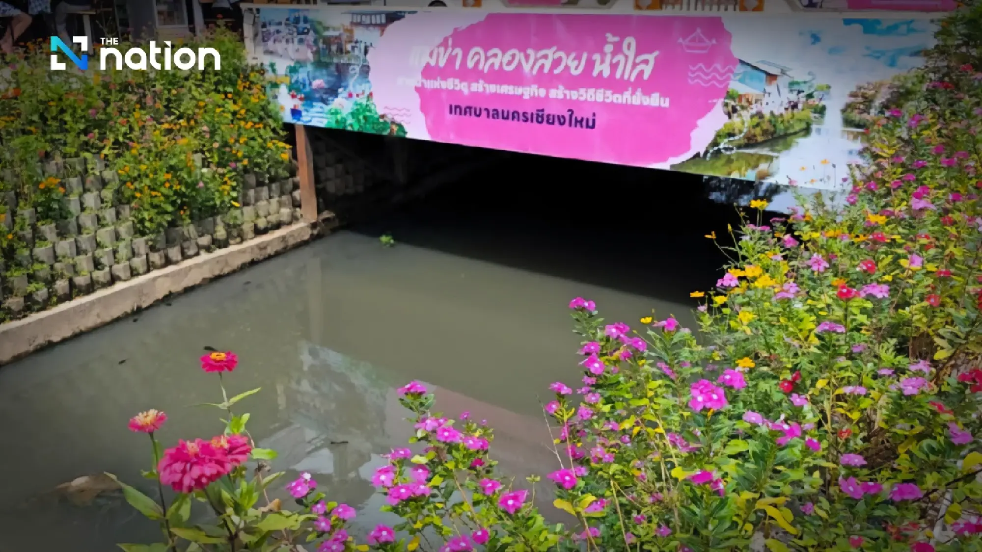 Mae Kha Canal in Chiang Mai suffers foul water, threatening tourism hotspot