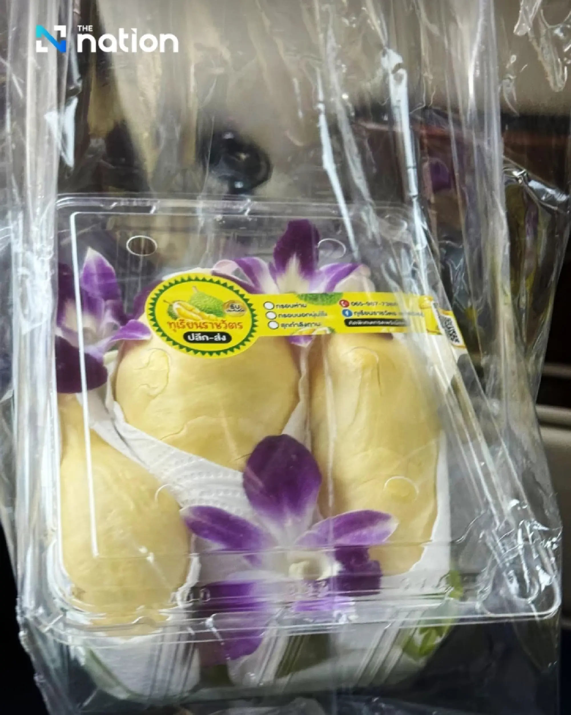 Anutin boasts of getting snacks from Si Yan resident