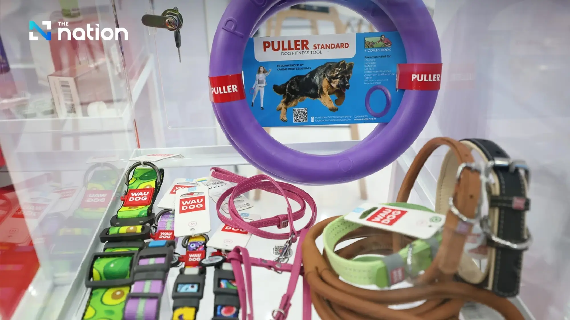 Thailand Emerges as Global Pet Food Powerhouse as Industry Eyes $5 Billion Export Target