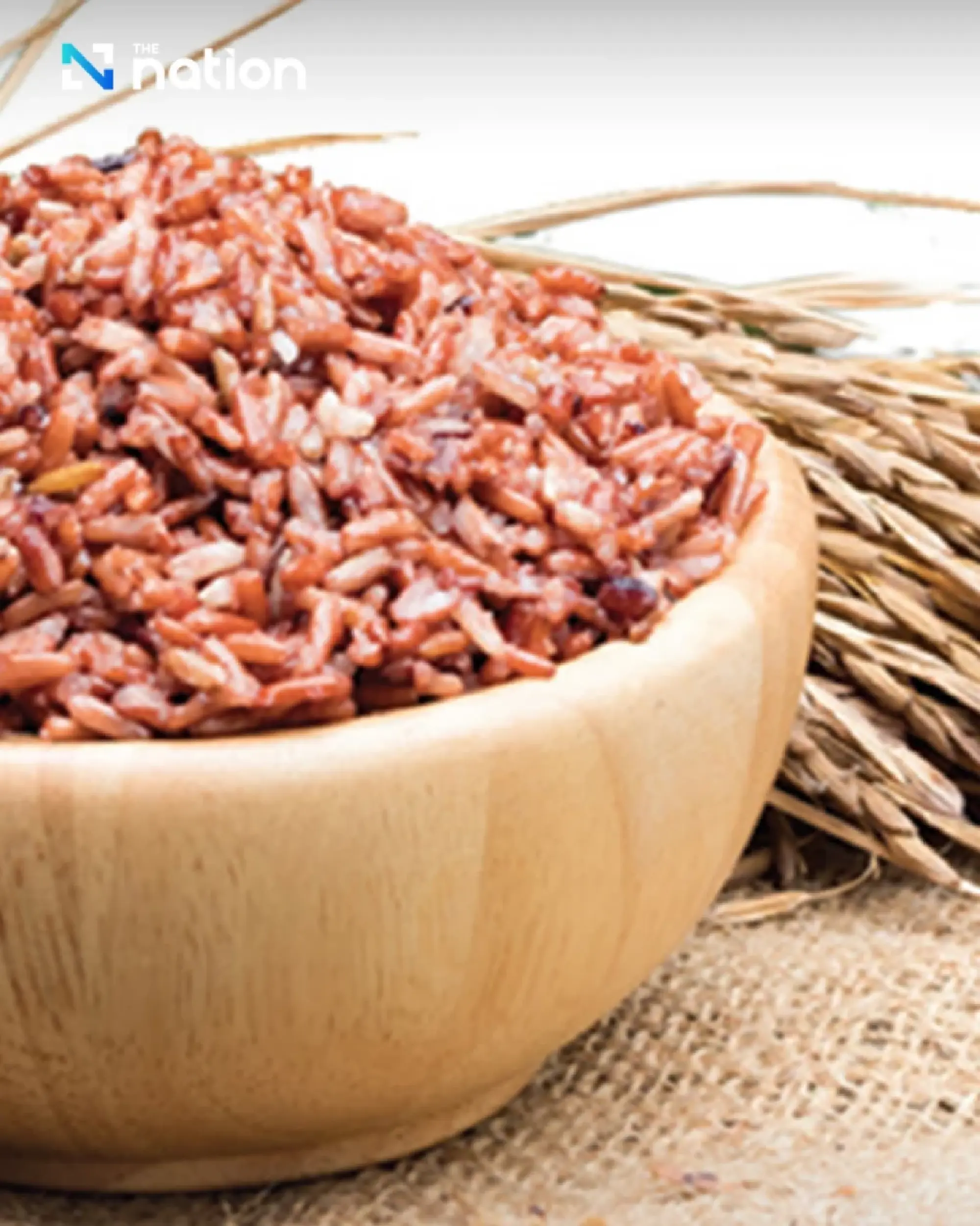 Beyond jasmine rice: discover Thailand’s rich rice heritage