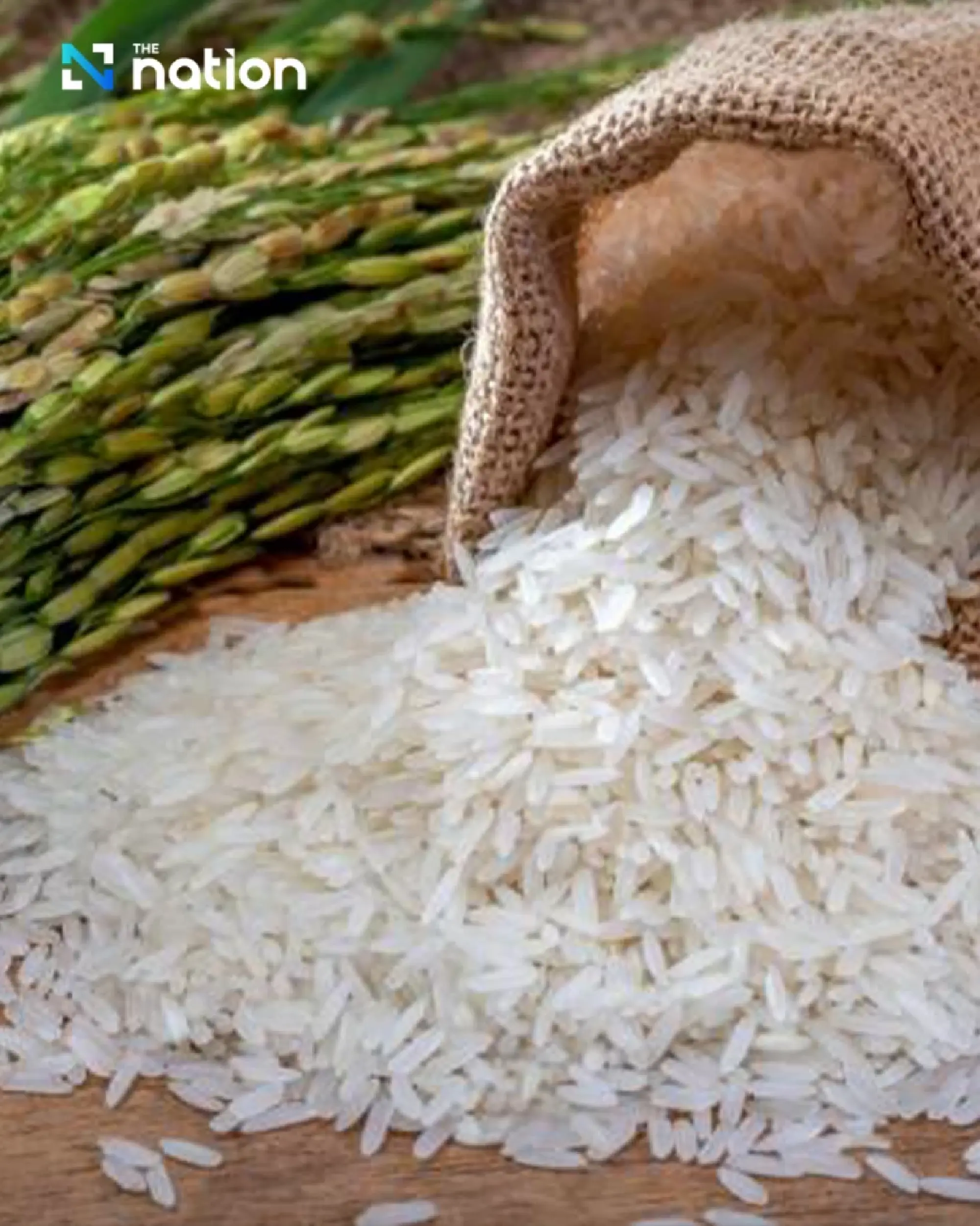 Beyond jasmine rice: discover Thailand’s rich rice heritage