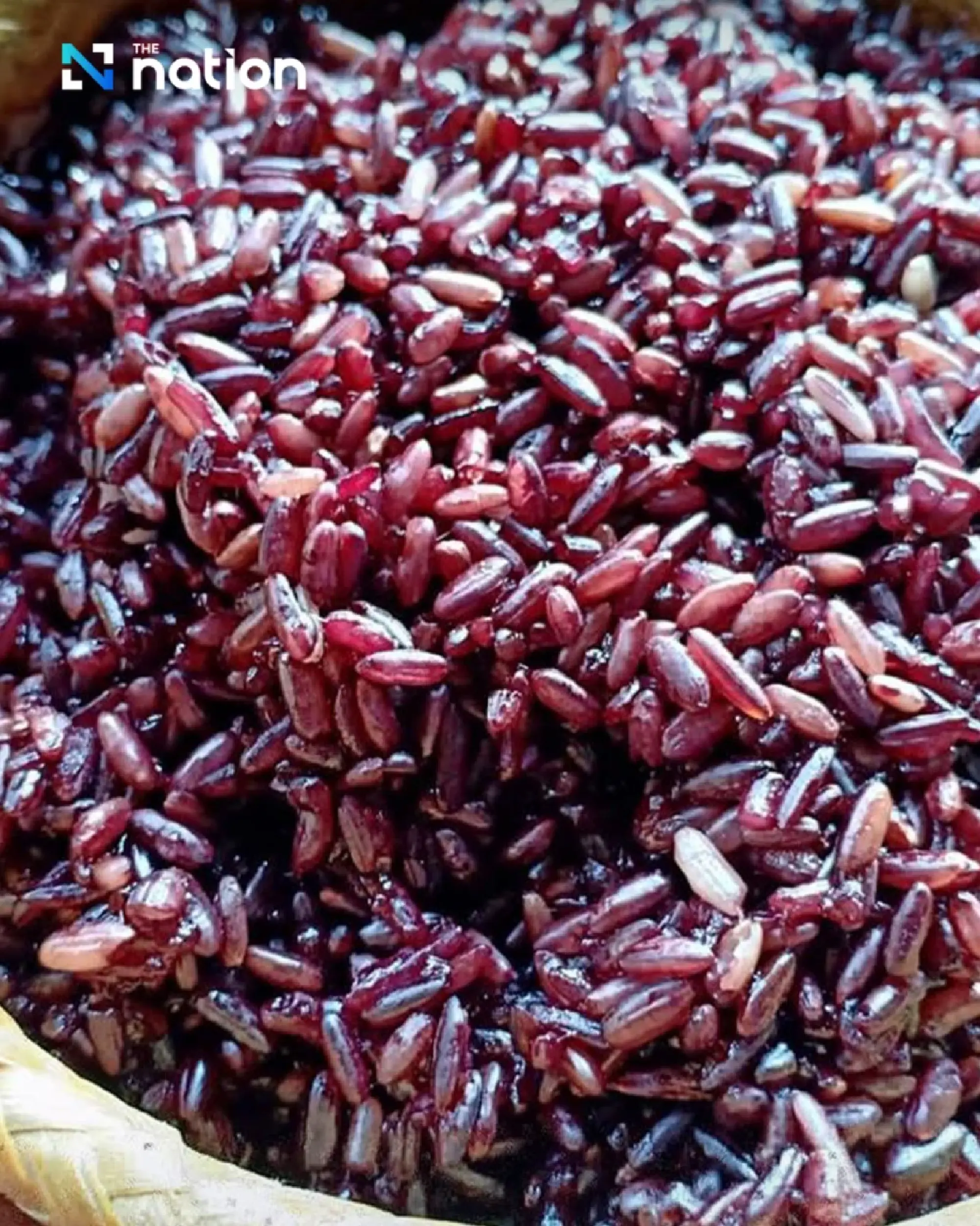 Beyond jasmine rice: discover Thailand’s rich rice heritage