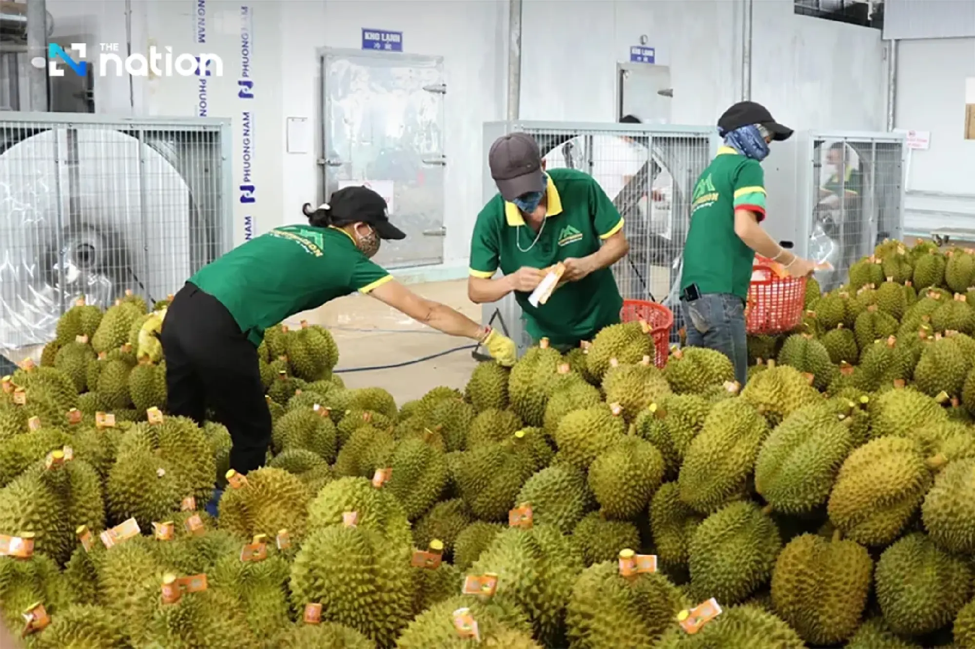 Vietnam’s fruit and vegetable exports hit record high as durian drives growth