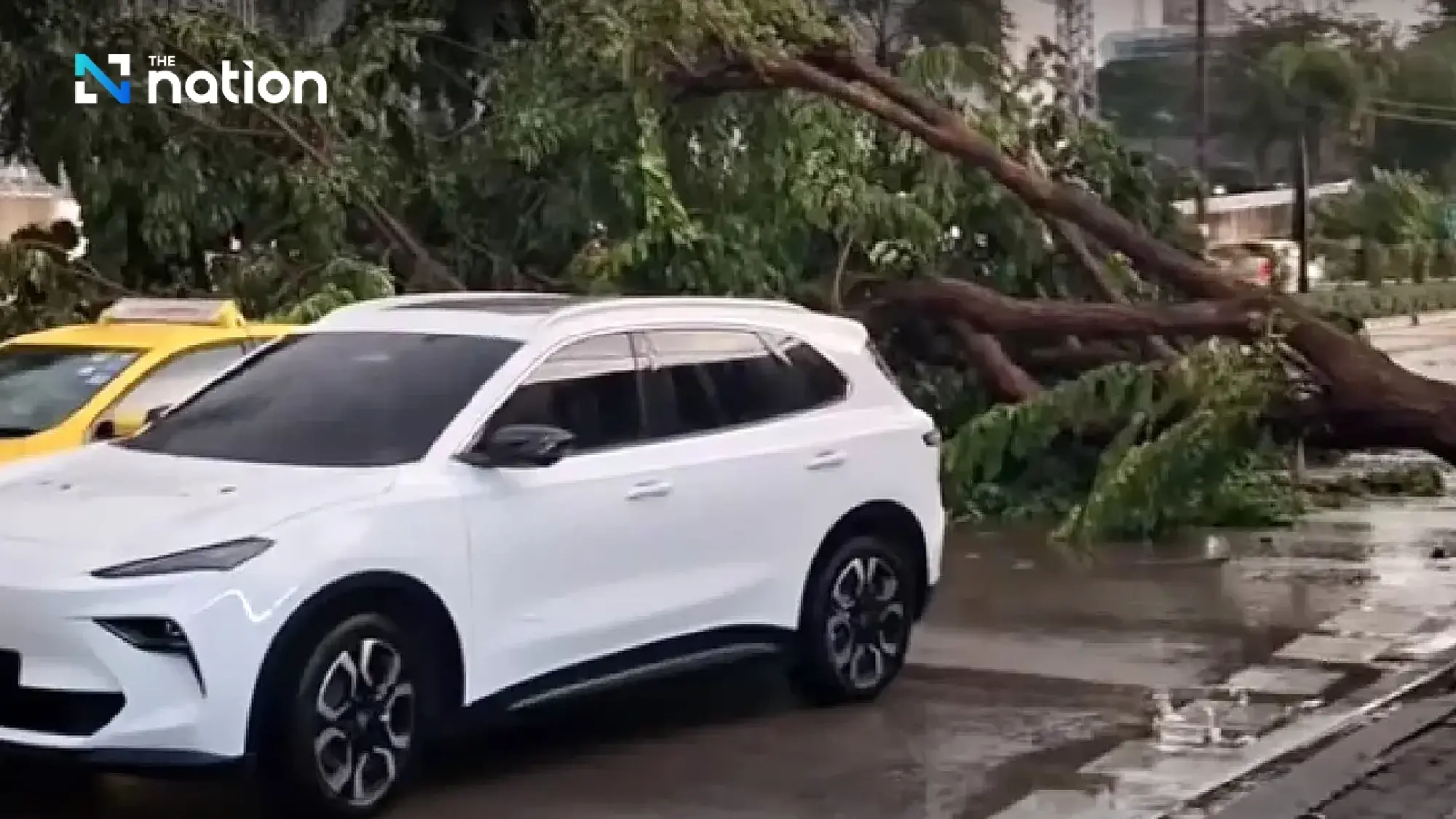 Heavy rain and strong winds cause flooding and fallen trees across Bangkok, disrupting traffic