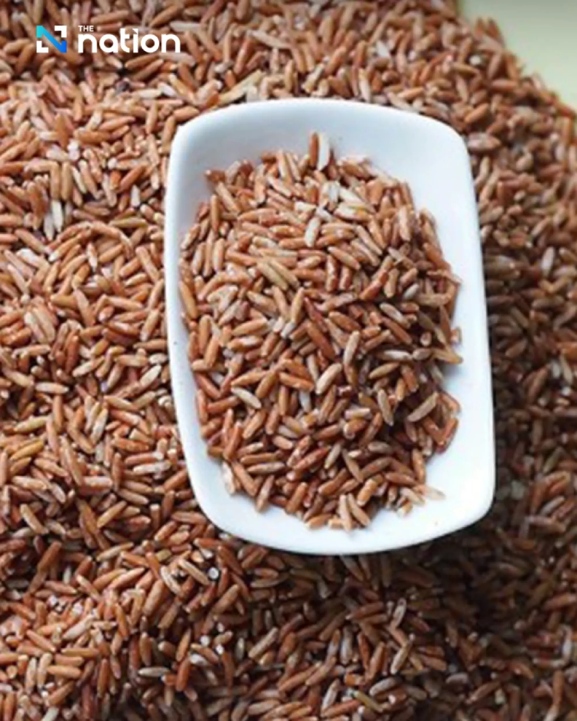 Beyond jasmine rice: discover Thailand’s rich rice heritage