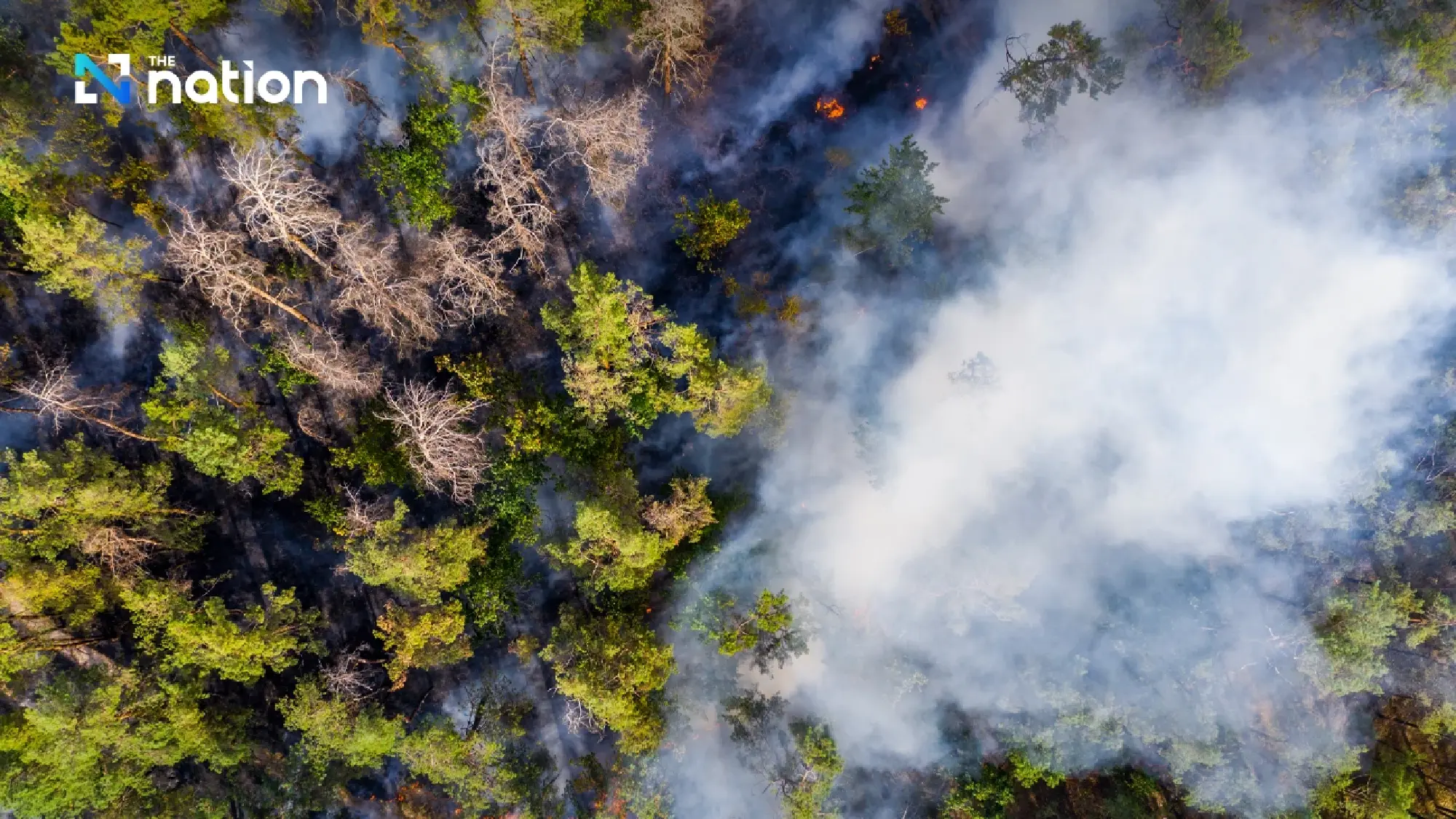 WMO warns of intensifying extreme weather as CO₂ levels hit record high