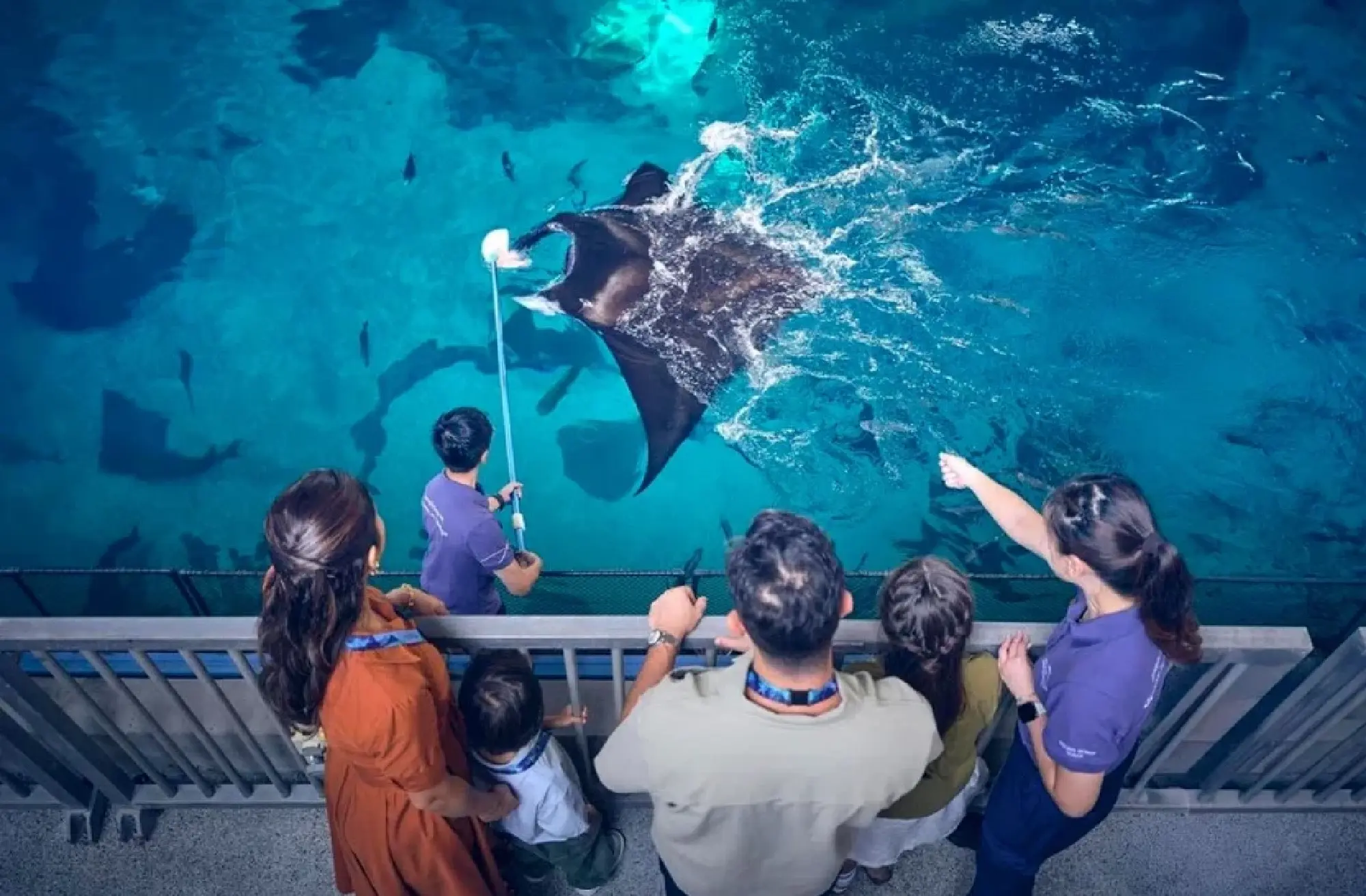 Sleep with the fishes: Glamping at the Singapore Oceanarium